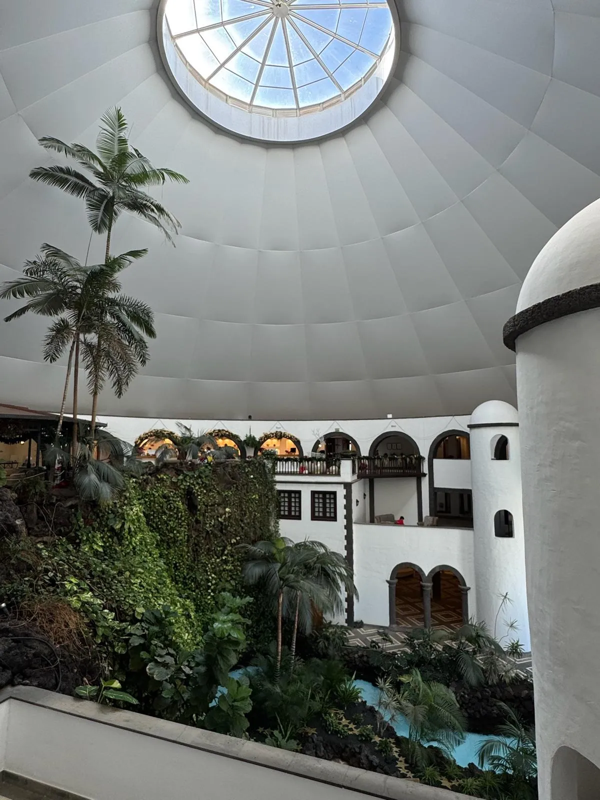 WhatsApp Image 2026-01-25 at 20.15.48 (2)