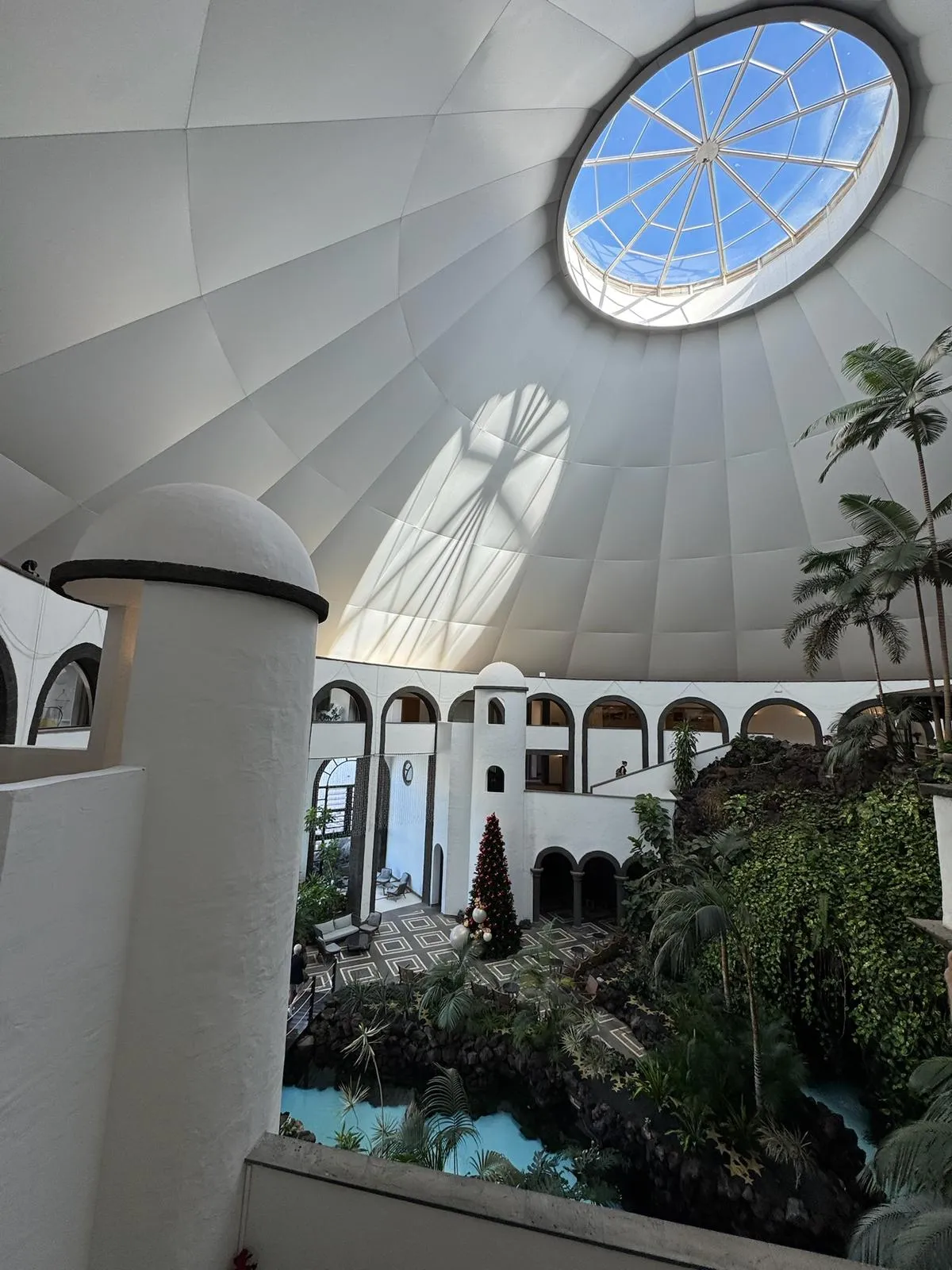 WhatsApp Image 2026-01-25 at 20.15.48 (3)