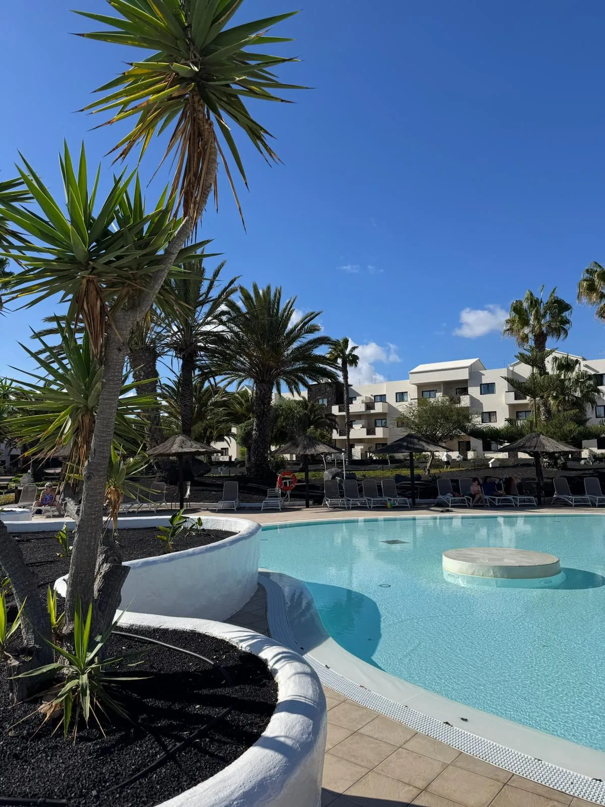 WhatsApp Image 2026-01-25 at 21.15.16 (4)