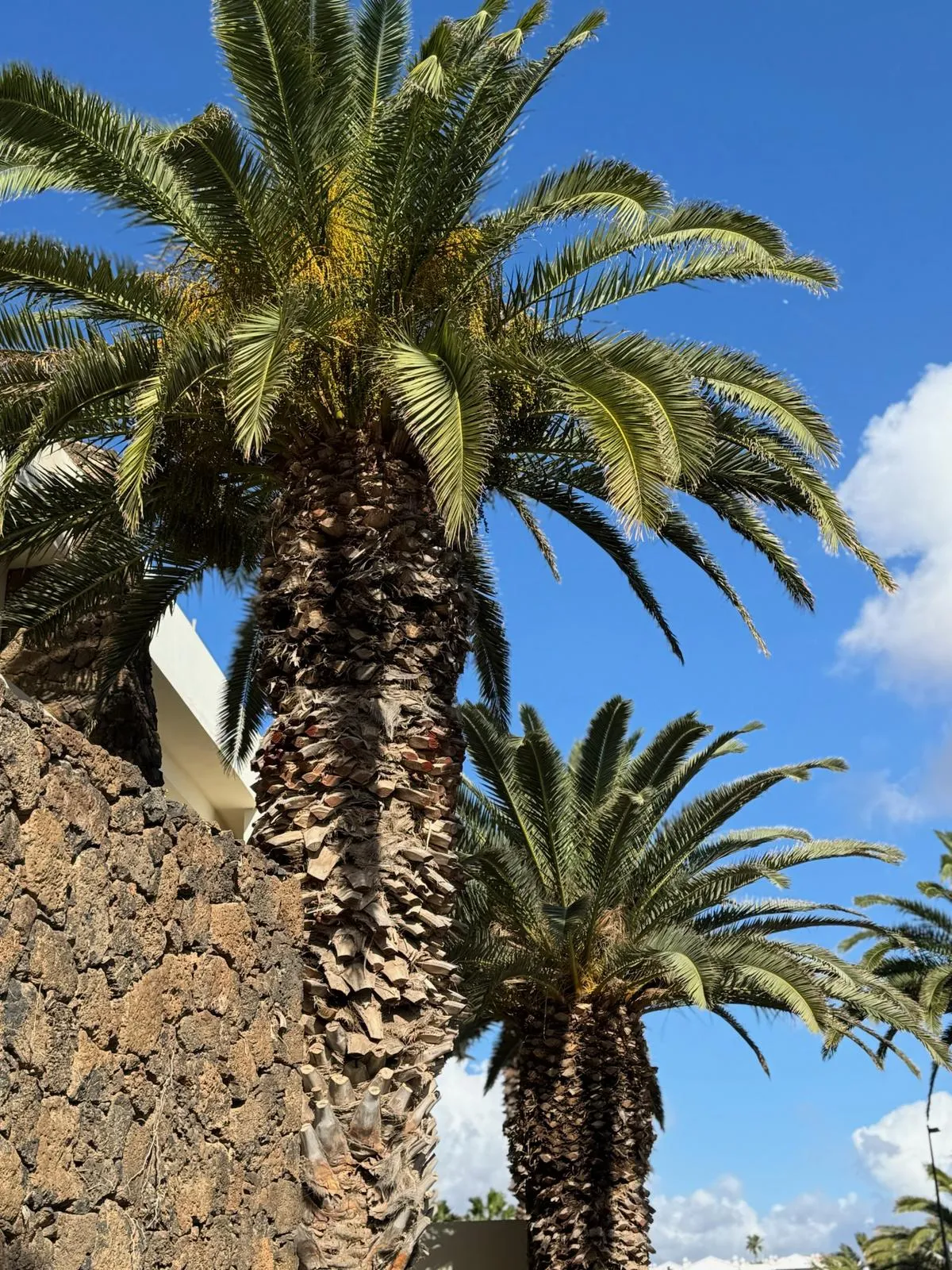 WhatsApp Image 2026-01-25 at 21.15.17 (4)