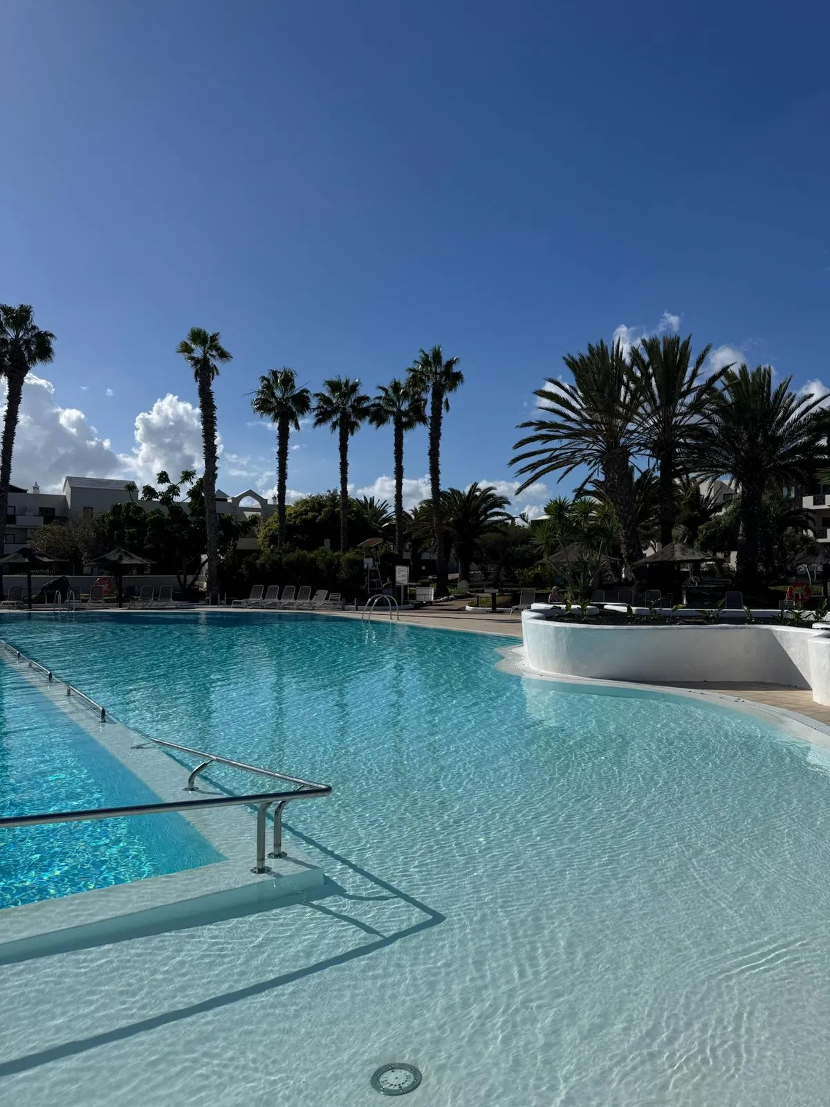 WhatsApp Image 2026-01-25 at 21.15.17