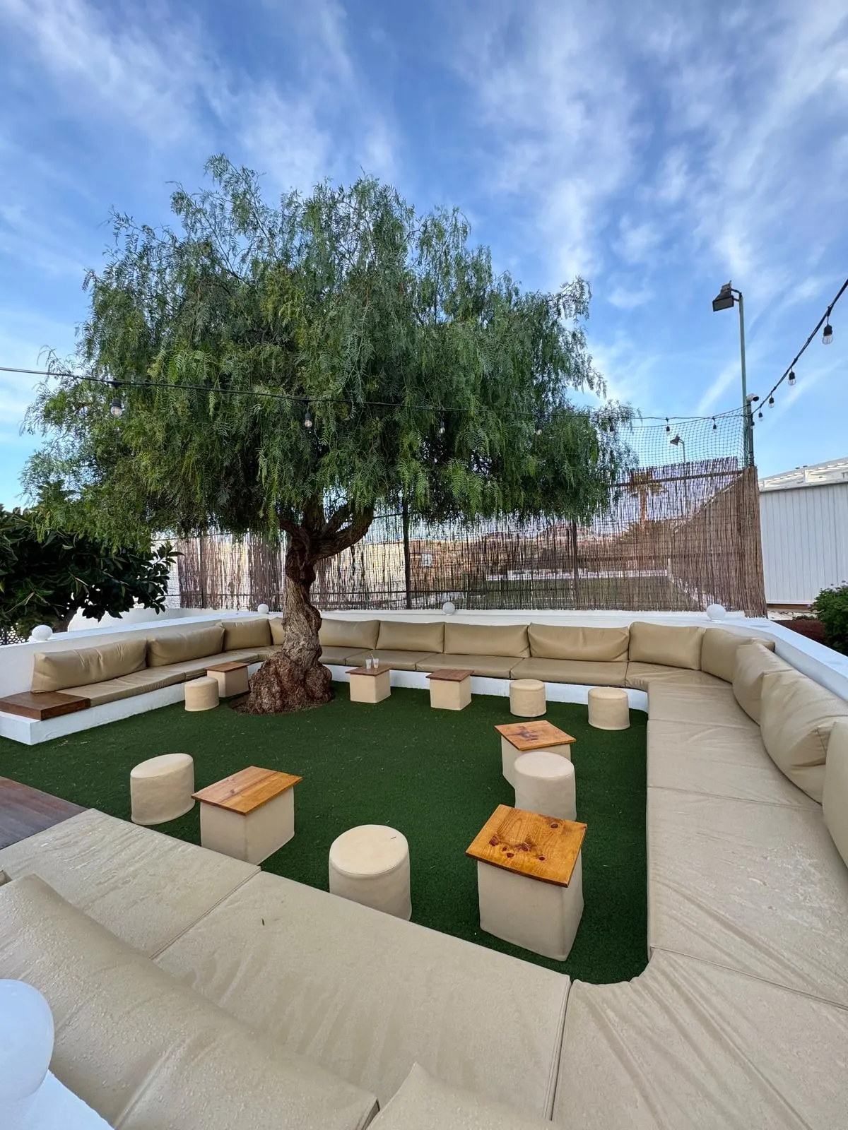 WhatsApp Image 2026-01-29 at 20.05.32 (15)