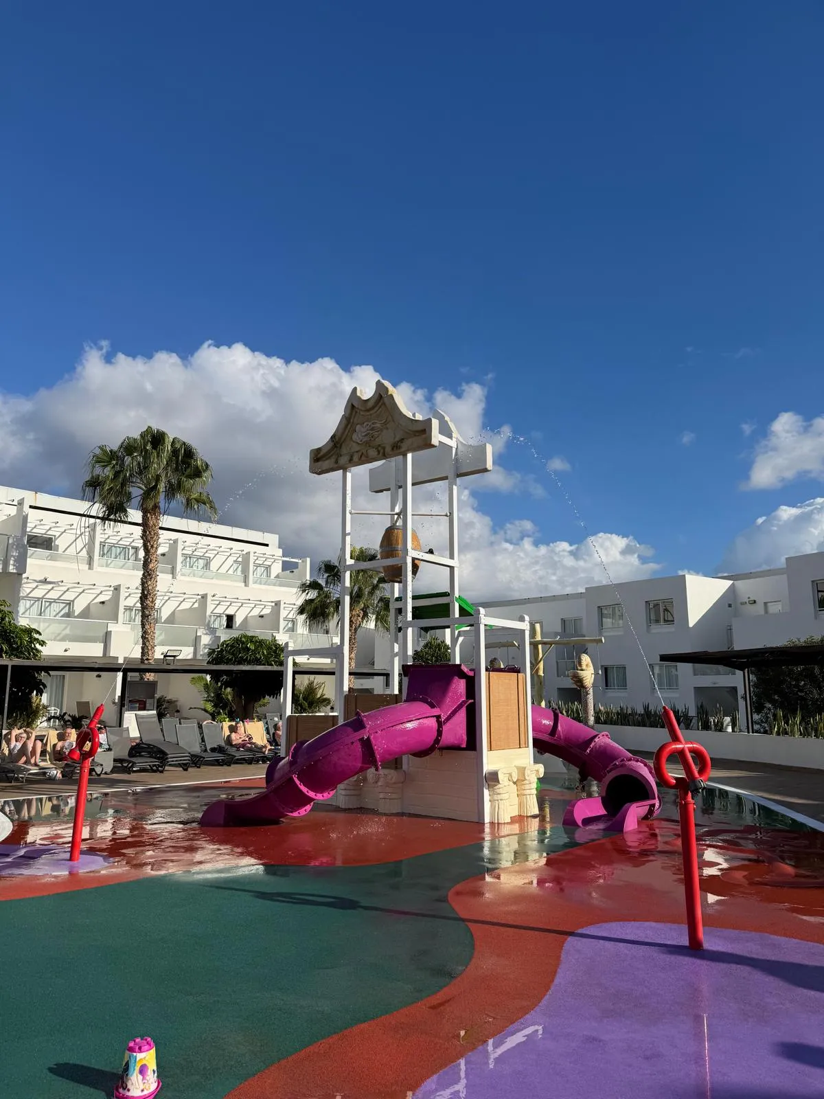 WhatsApp Image 2026-01-29 at 20.05.32 (1)