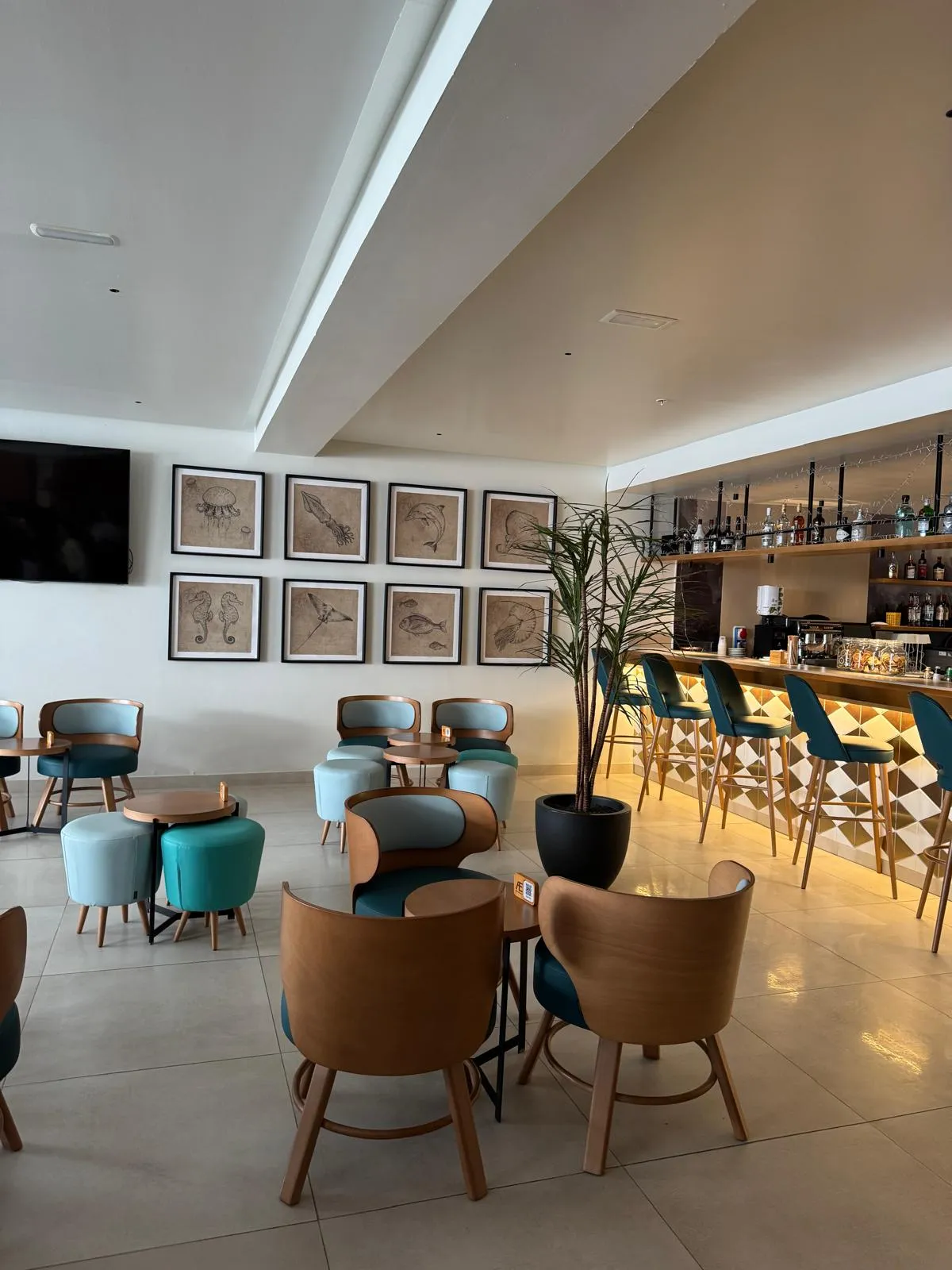 WhatsApp Image 2026-01-29 at 20.05.32 (4)