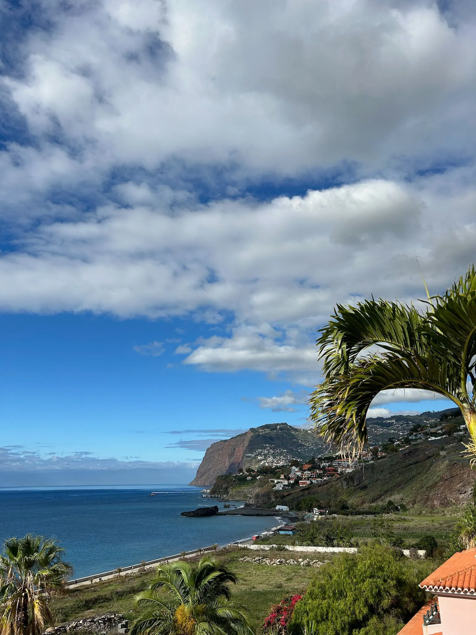 WhatsApp Image 2026-01-29 at 21.27.45 (1)