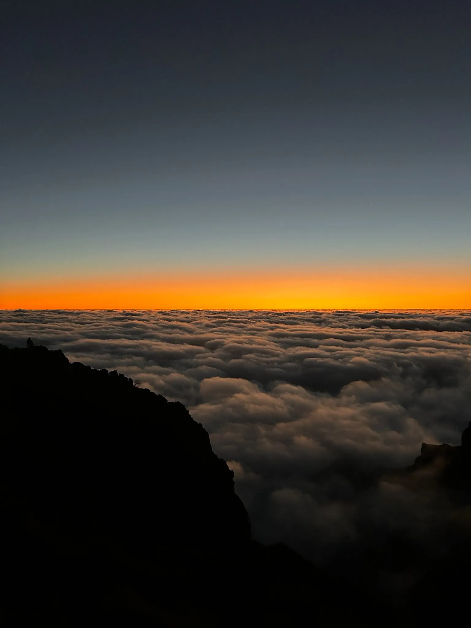 WhatsApp Image 2026-01-29 at 21.27.45 (2)