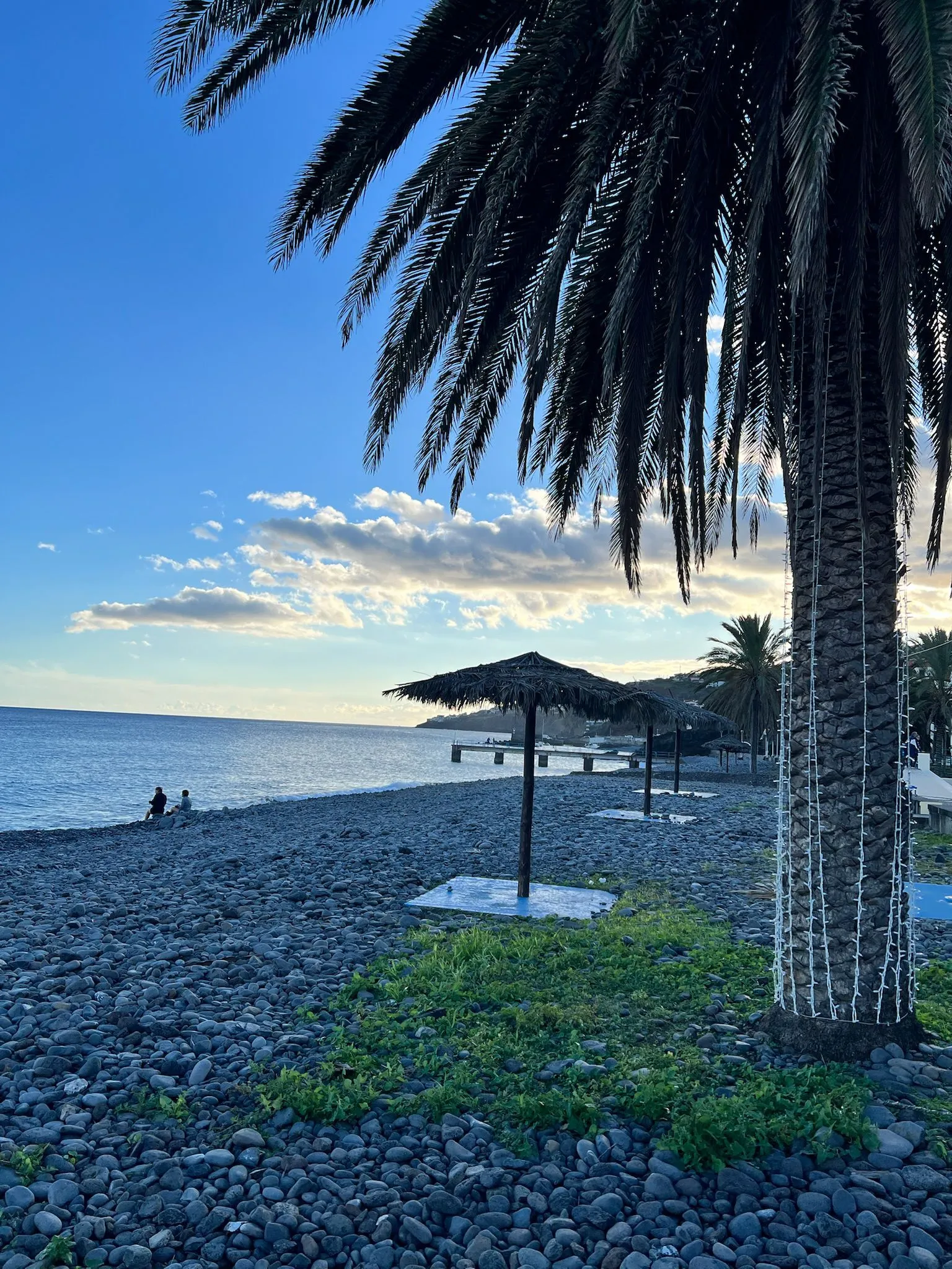 WhatsApp Image 2026-01-29 at 21.27.45