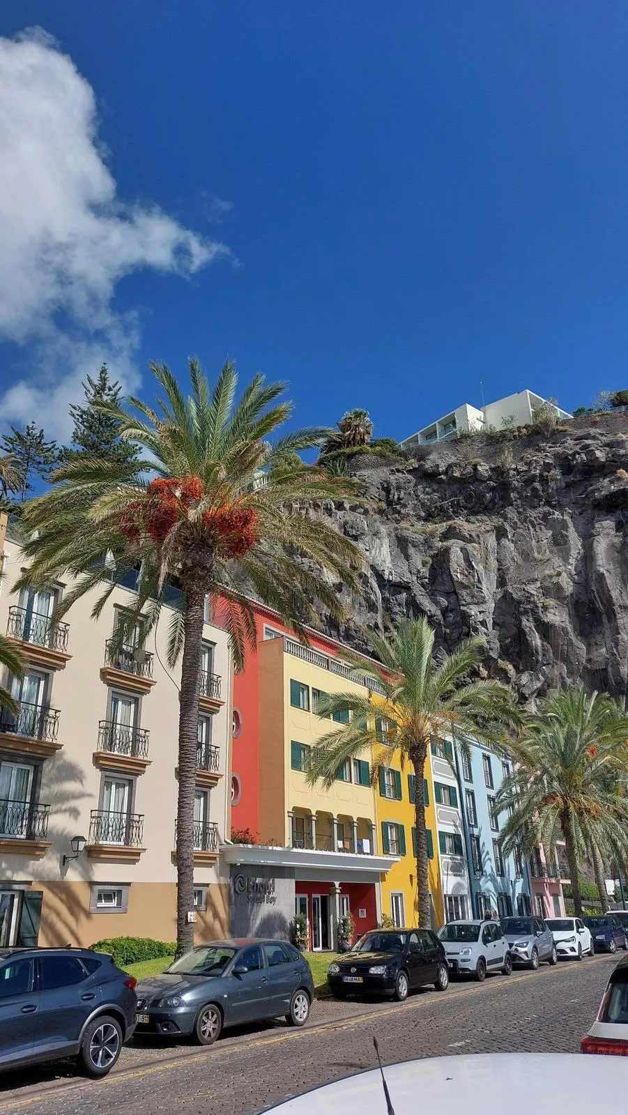 WhatsApp Image 2026-01-29 at 21.30.15