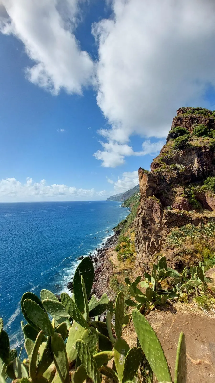 WhatsApp Image 2026-01-29 at 21.31.39