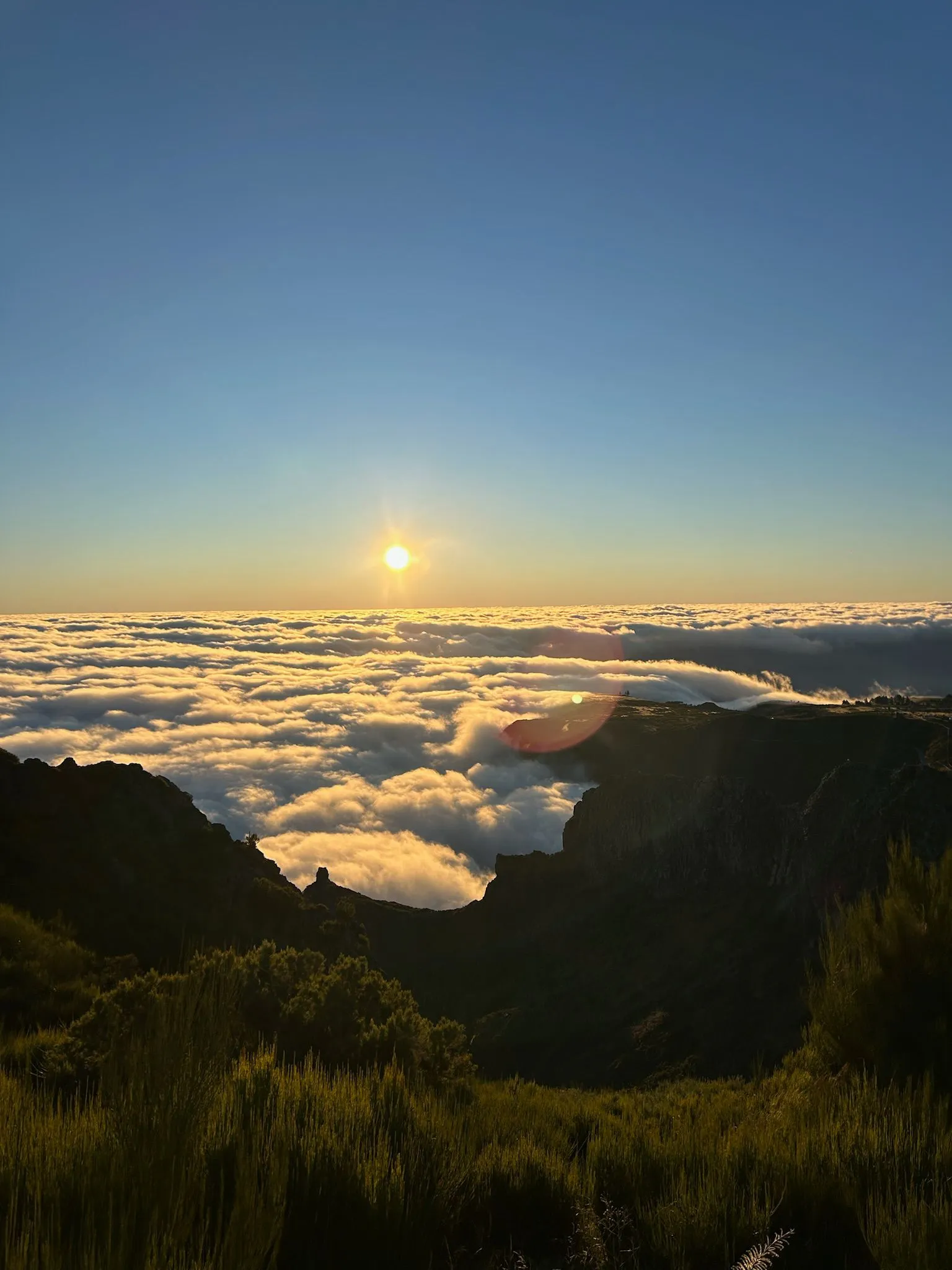 WhatsApp Image 2026-01-29 at 21.31.45 (1)