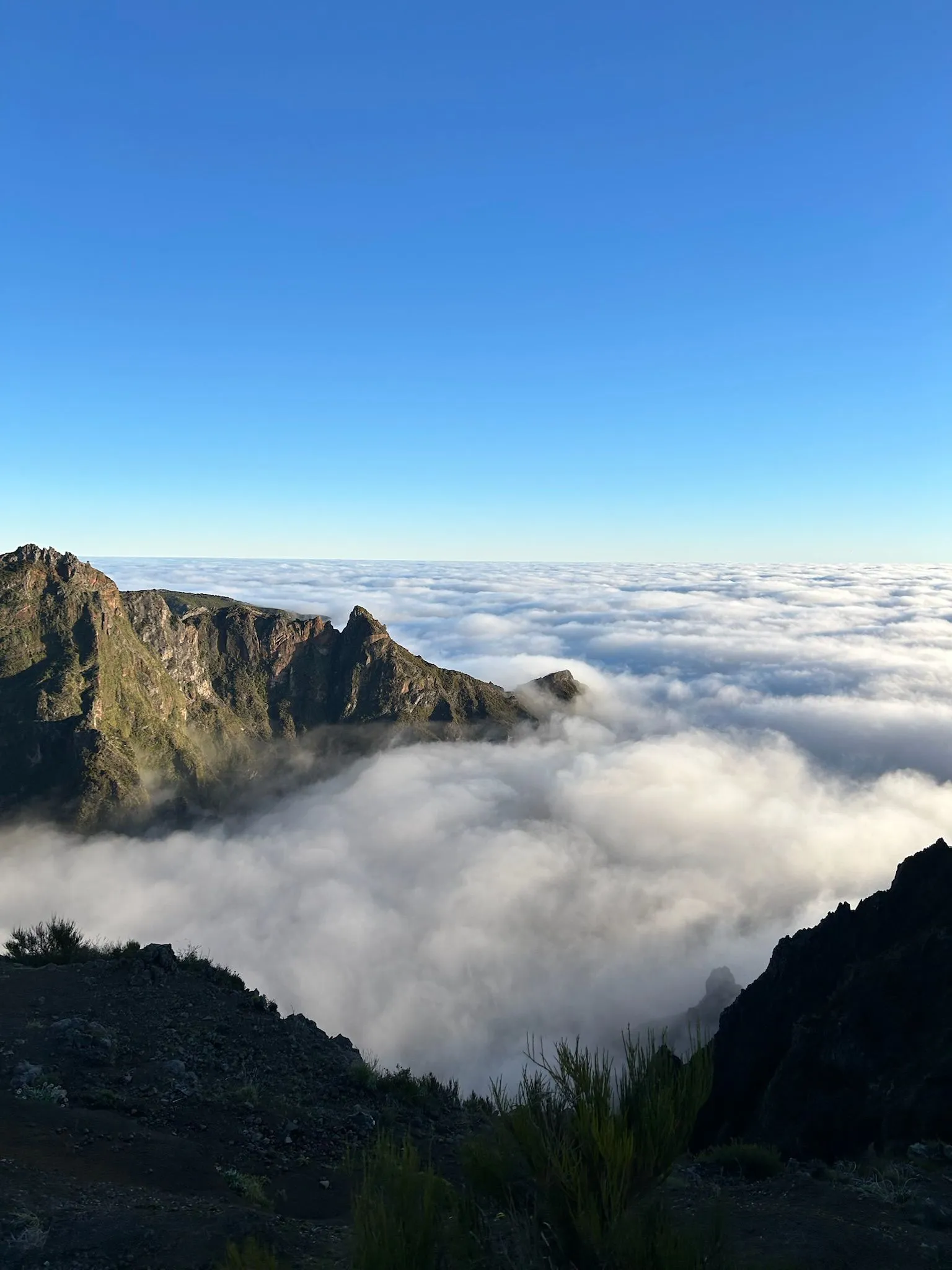 WhatsApp Image 2026-01-29 at 21.31.45 (3)