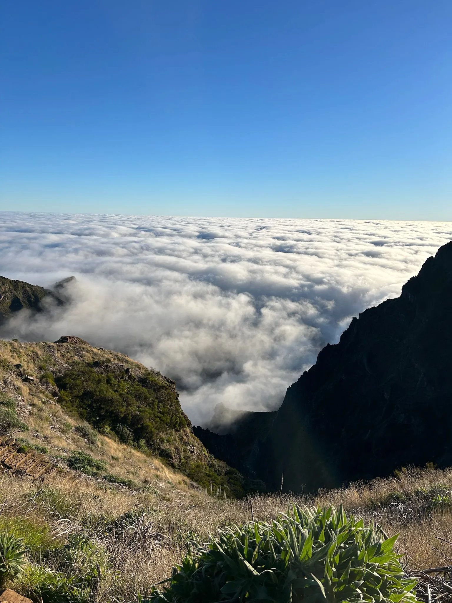 WhatsApp Image 2026-01-29 at 21.31.46 (1)