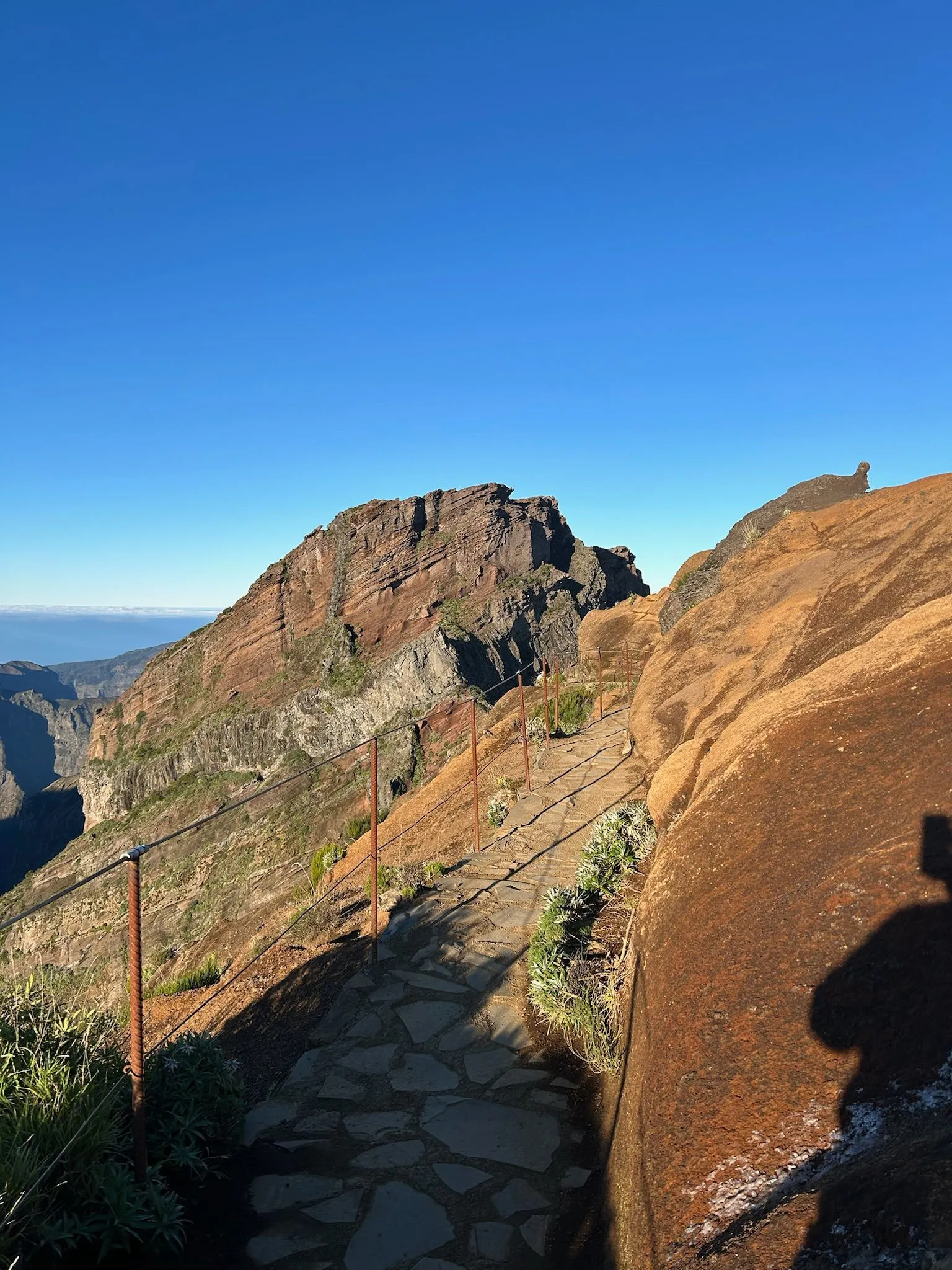 WhatsApp Image 2026-01-29 at 21.31.46 (2)