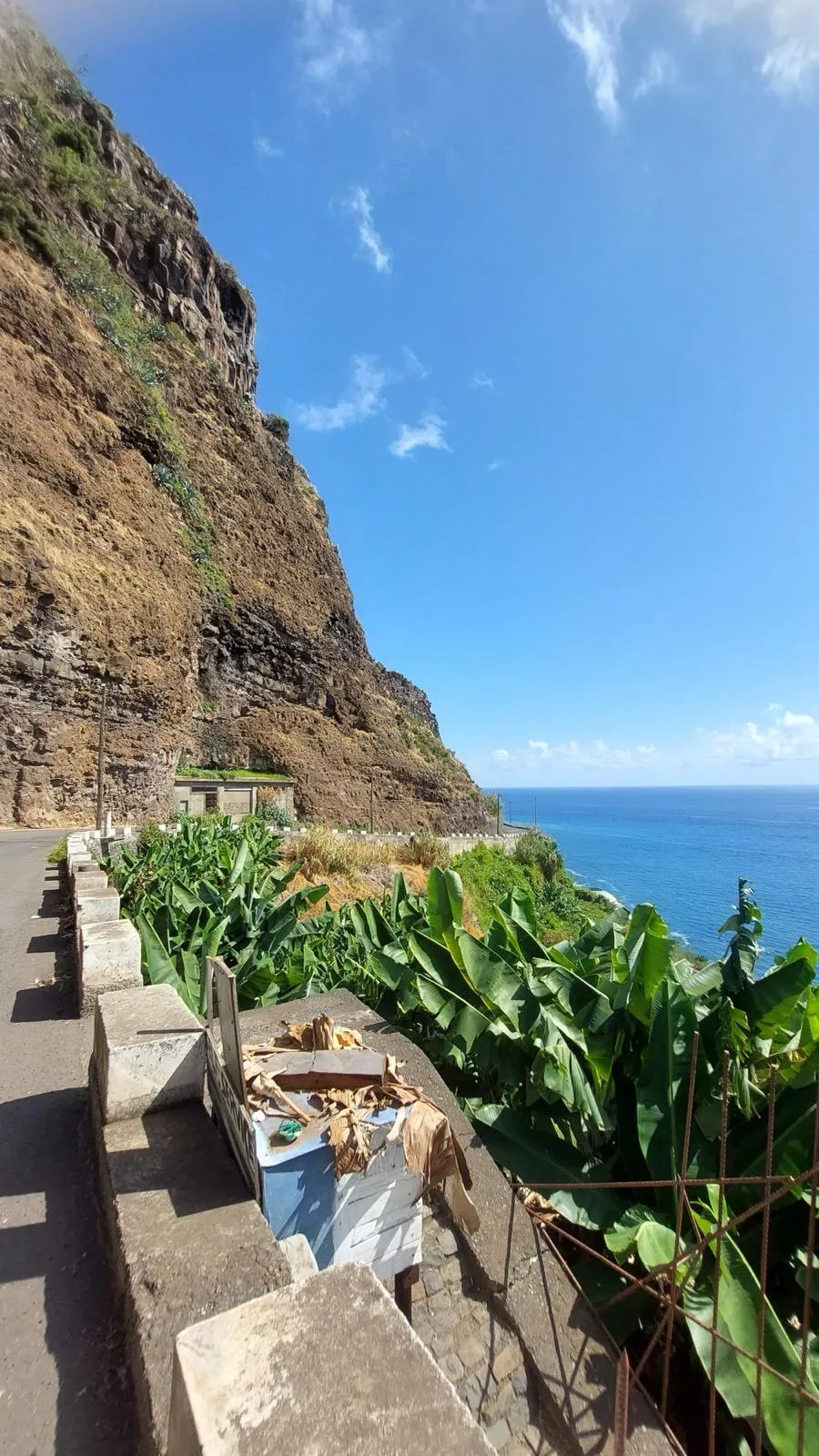 WhatsApp Image 2026-01-29 at 21.33.56