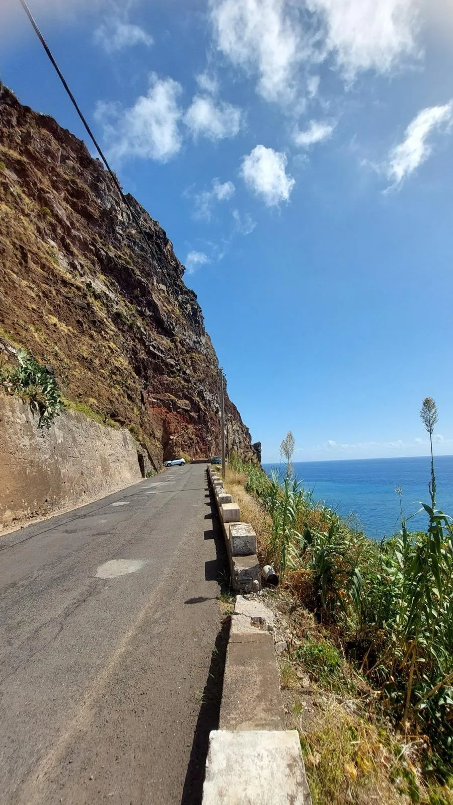 WhatsApp Image 2026-01-29 at 21.35.50