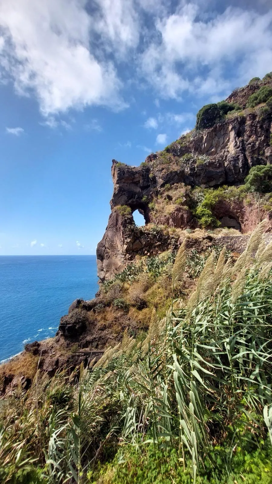 WhatsApp Image 2026-01-29 at 21.36.10