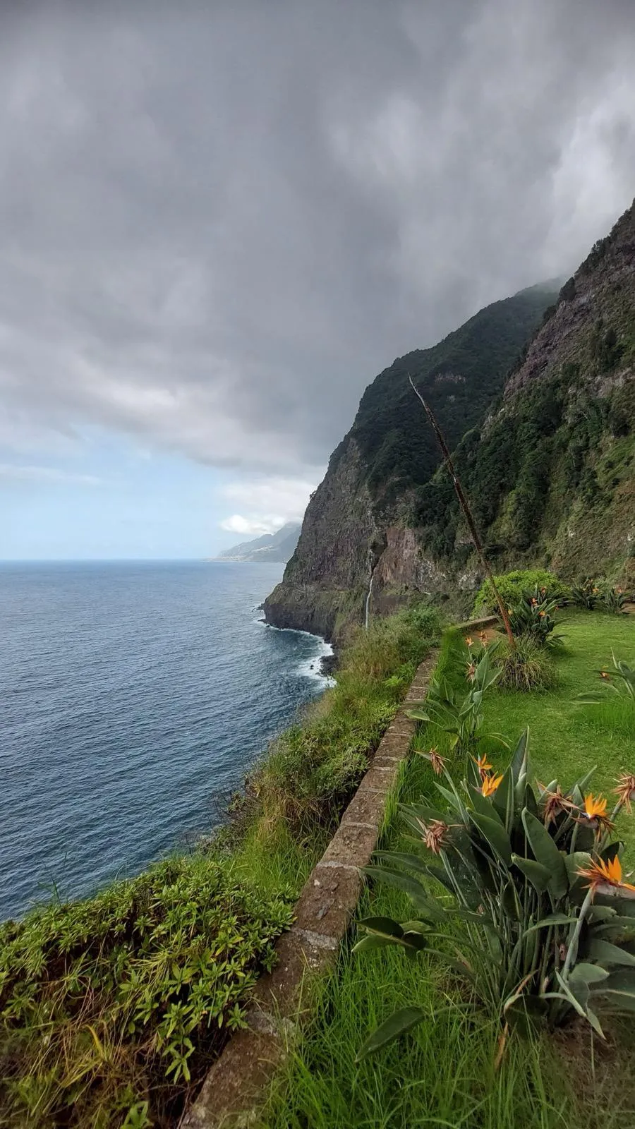 WhatsApp Image 2026-01-29 at 21.37.23