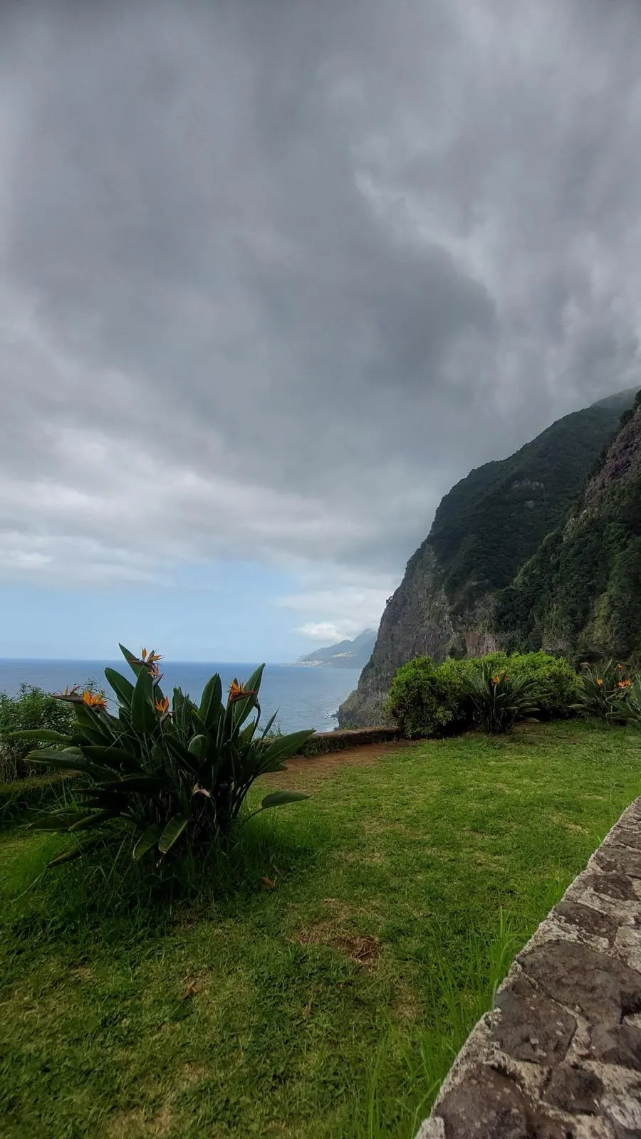 WhatsApp Image 2026-01-29 at 21.37.59