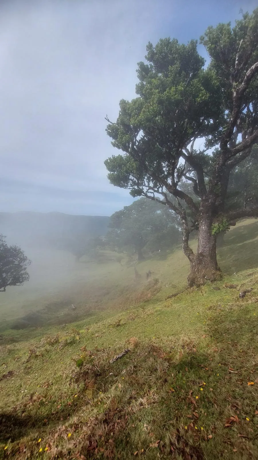 WhatsApp Image 2026-01-29 at 21.40.16