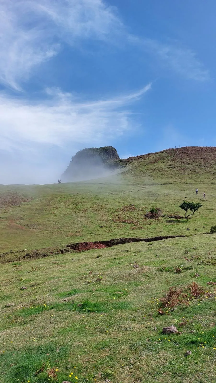 WhatsApp Image 2026-01-29 at 21.40.38