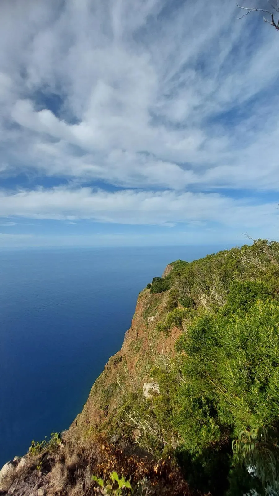 WhatsApp Image 2026-01-29 at 21.41.17