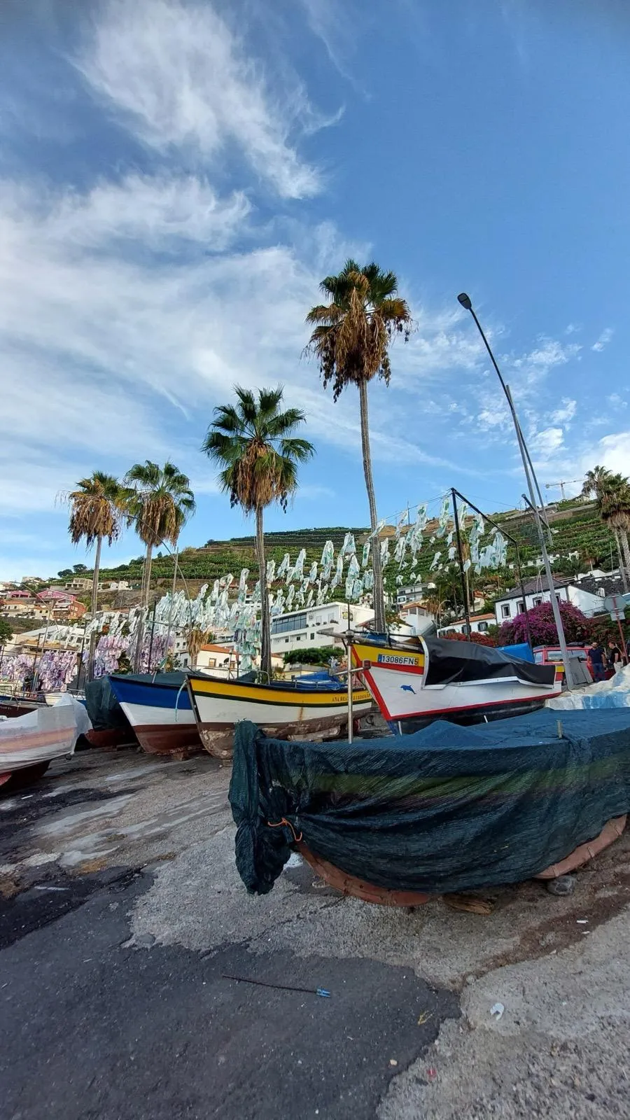 WhatsApp Image 2026-01-29 at 21.42.27