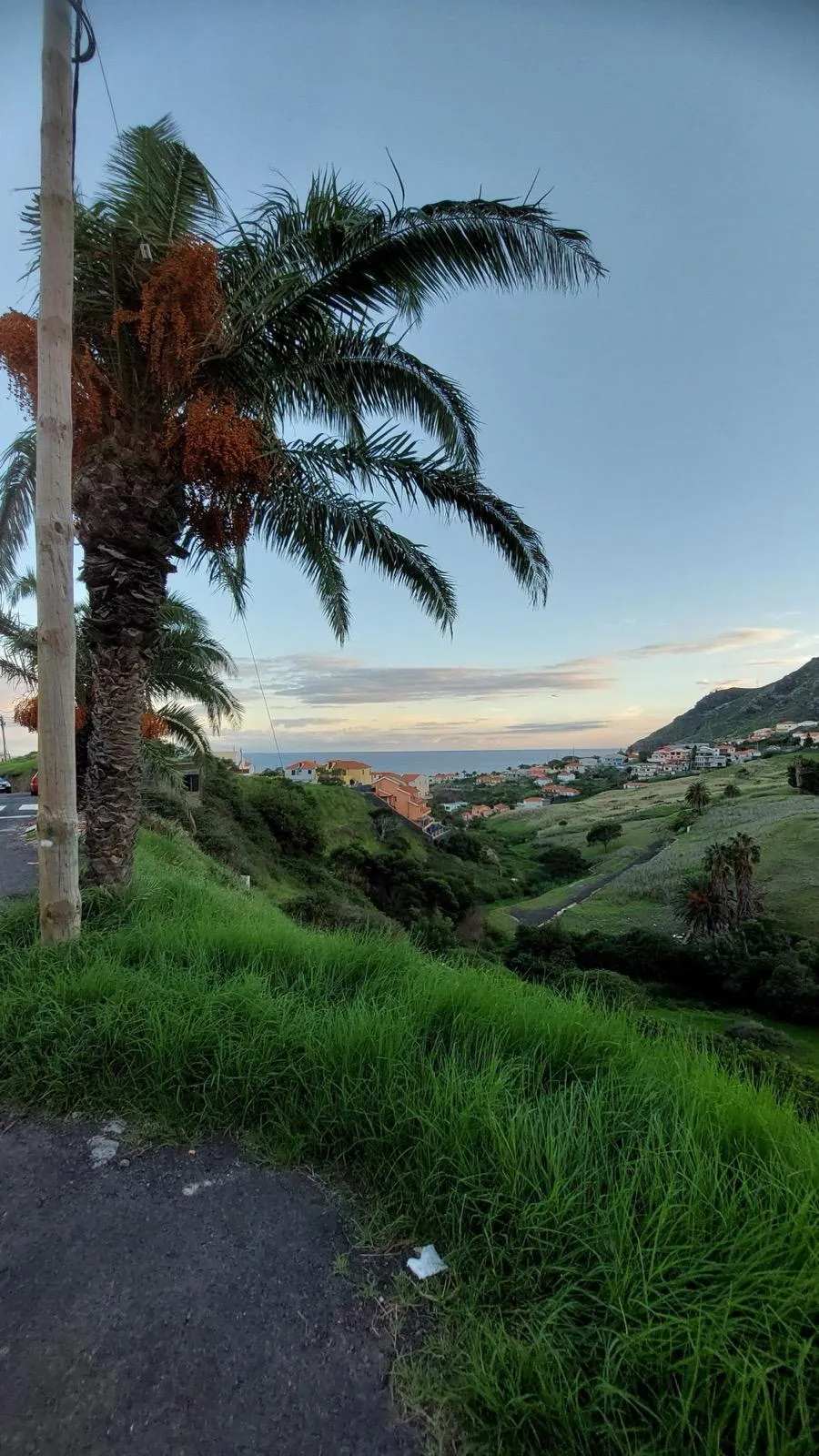 WhatsApp Image 2026-01-29 at 21.43.28