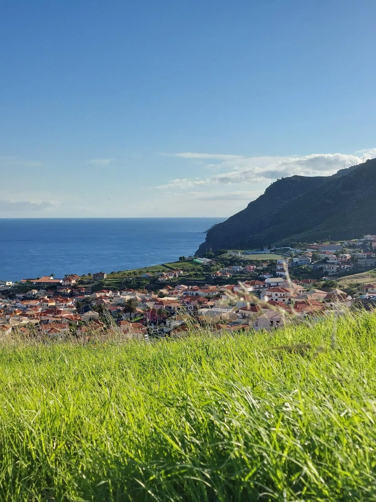 WhatsApp Image 2026-01-29 at 21.44.12