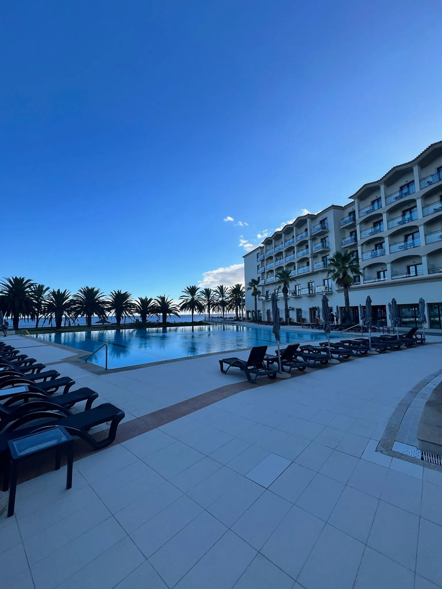 WhatsApp Image 2026-02-01 at 12.59.50 (6)