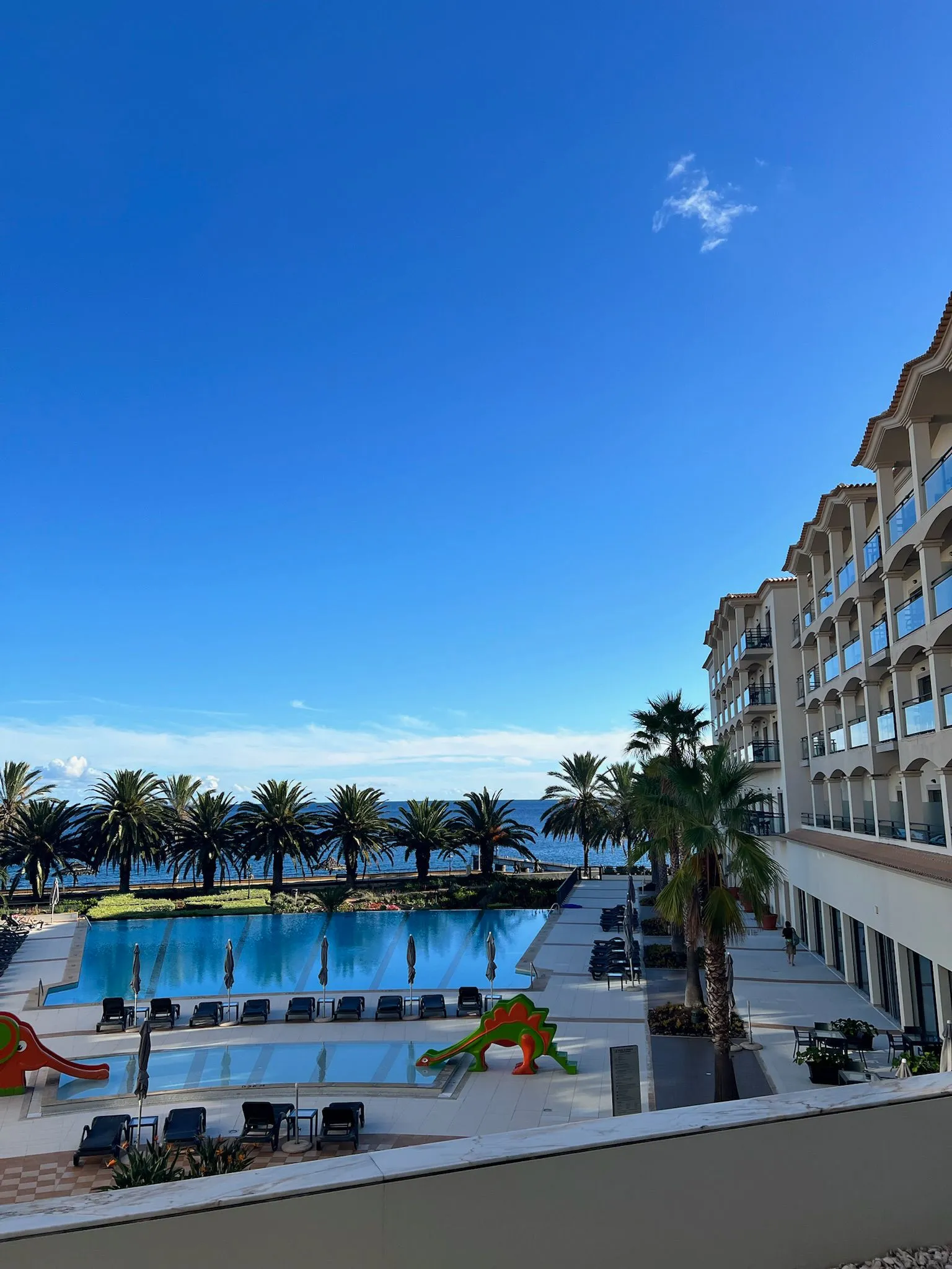 WhatsApp Image 2026-02-01 at 12.59.50