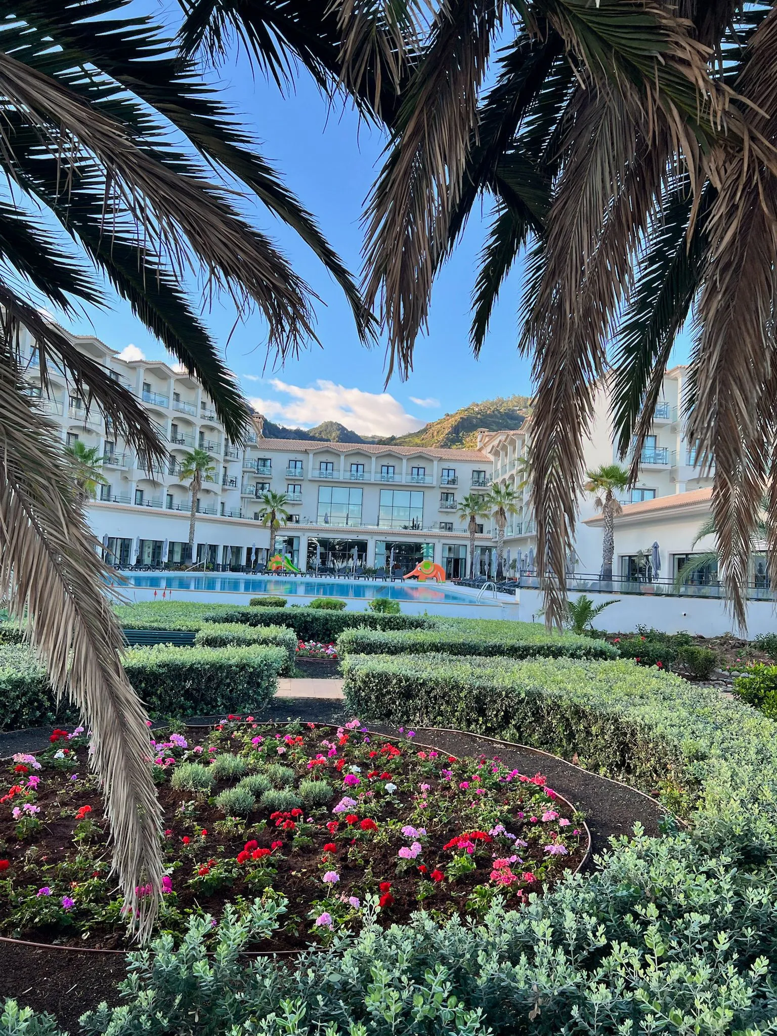 WhatsApp Image 2026-02-01 at 12.59.51 (2)