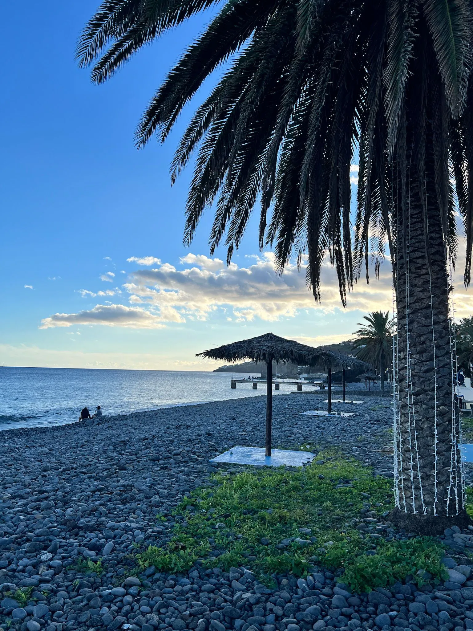 WhatsApp Image 2026-02-01 at 12.59.51 (3)