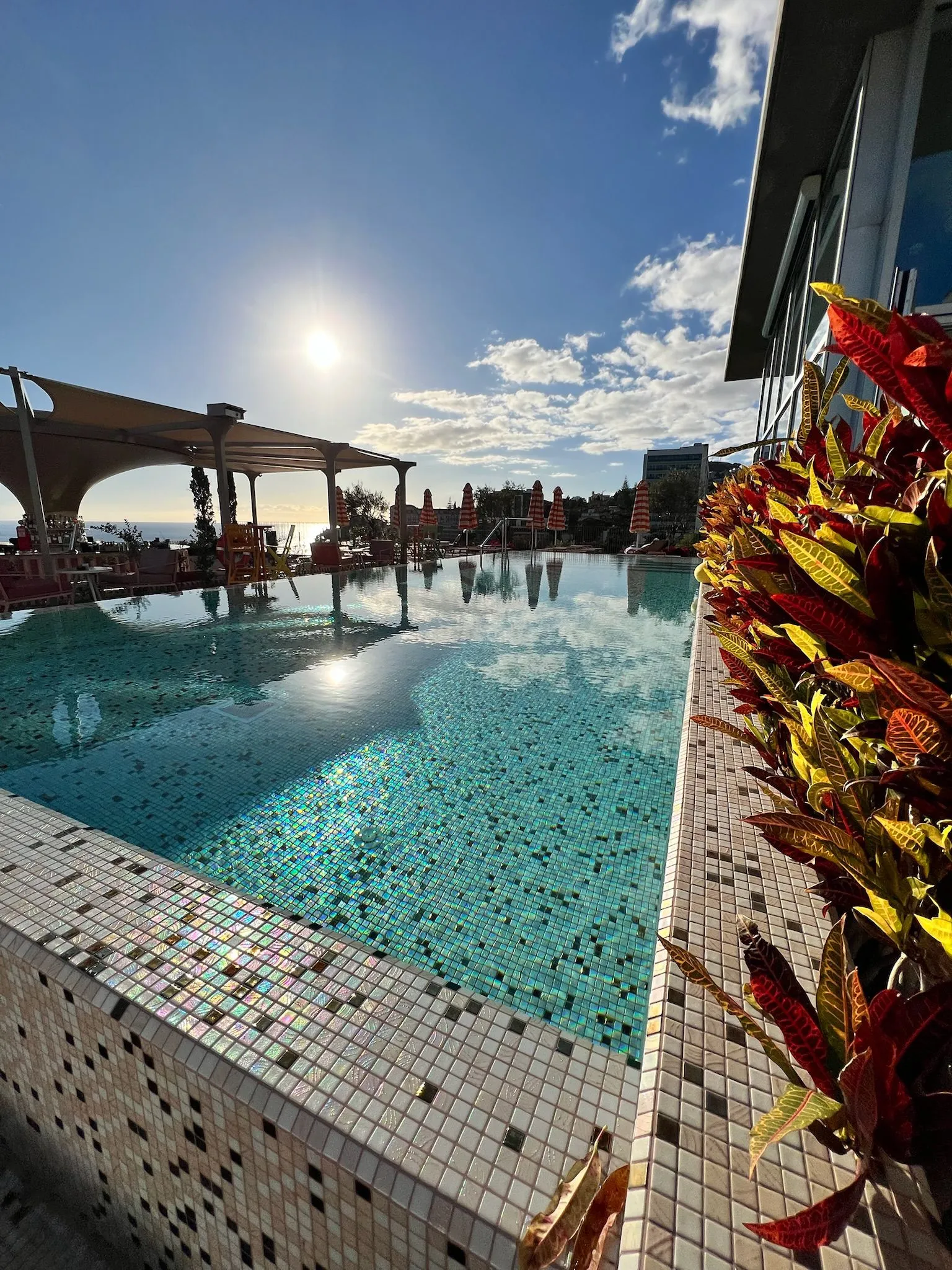 WhatsApp Image 2026-02-01 at 20.23.06