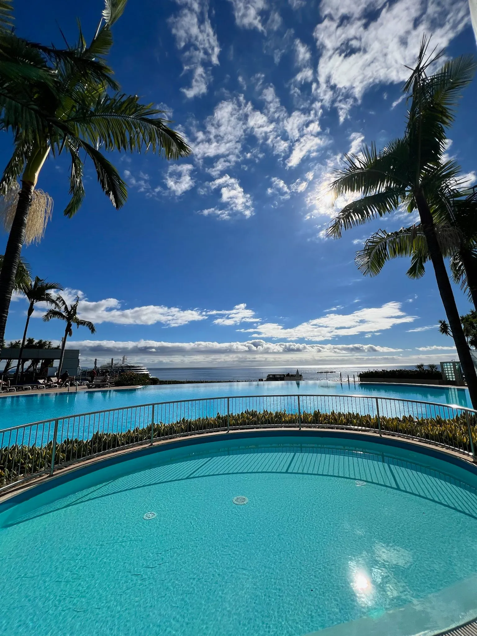 WhatsApp Image 2026-02-01 at 20.38.39 (1)