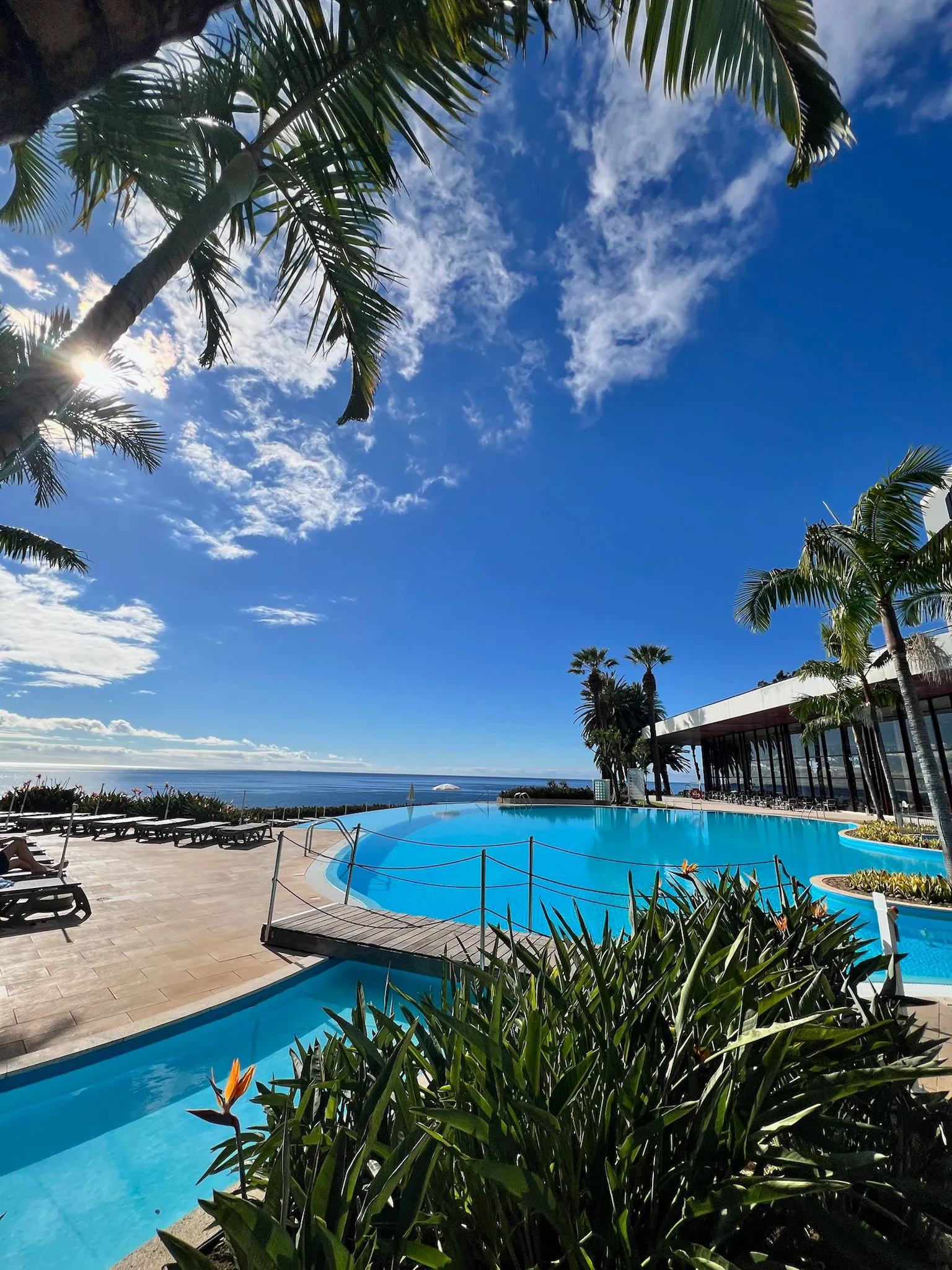 WhatsApp Image 2026-02-01 at 20.39.57 (1)