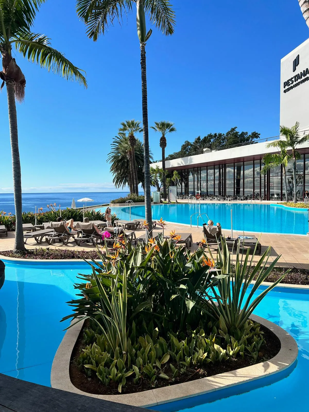 WhatsApp Image 2026-02-01 at 20.39.58 (6)