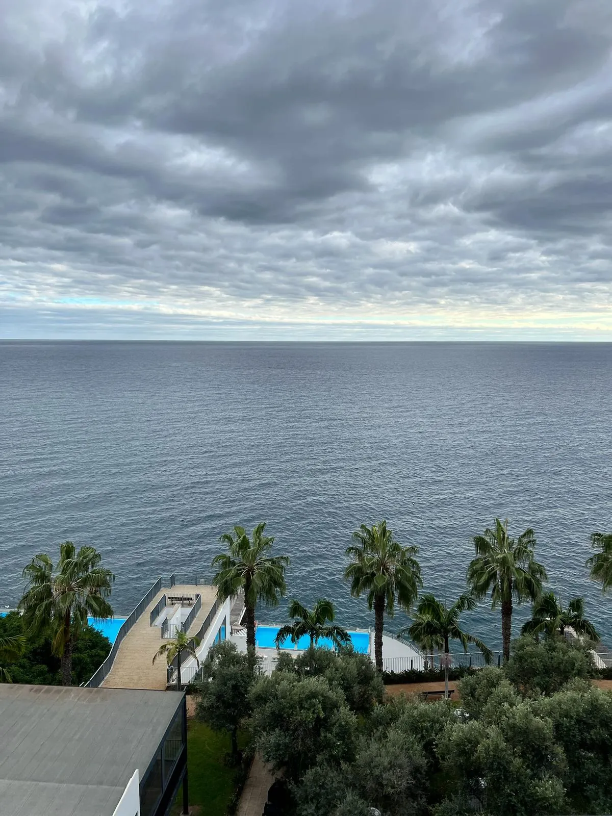 WhatsApp Image 2026-02-01 at 21.04.14 (2)