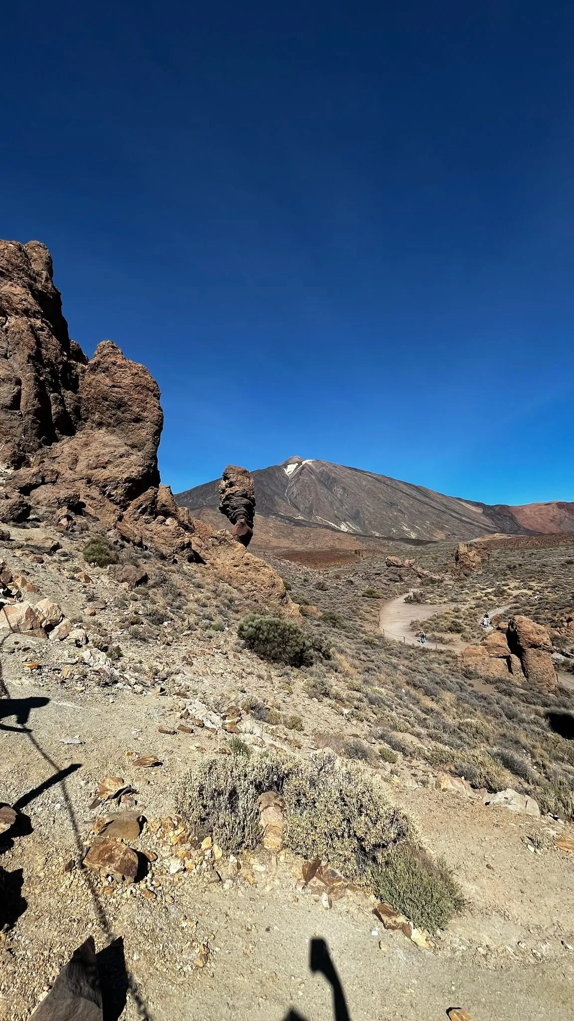 WhatsApp Image 2026-02-01 at 21.51.30 — kopia