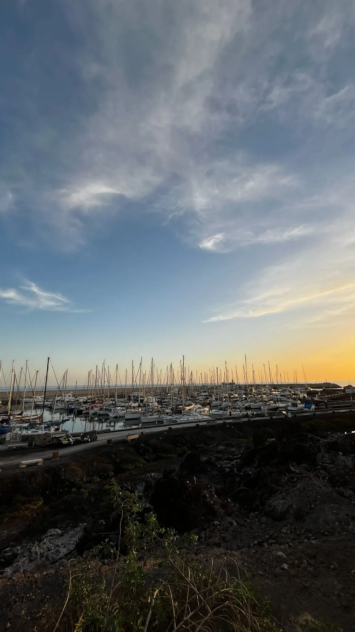 WhatsApp Image 2026-02-01 at 21.51.42 (3)