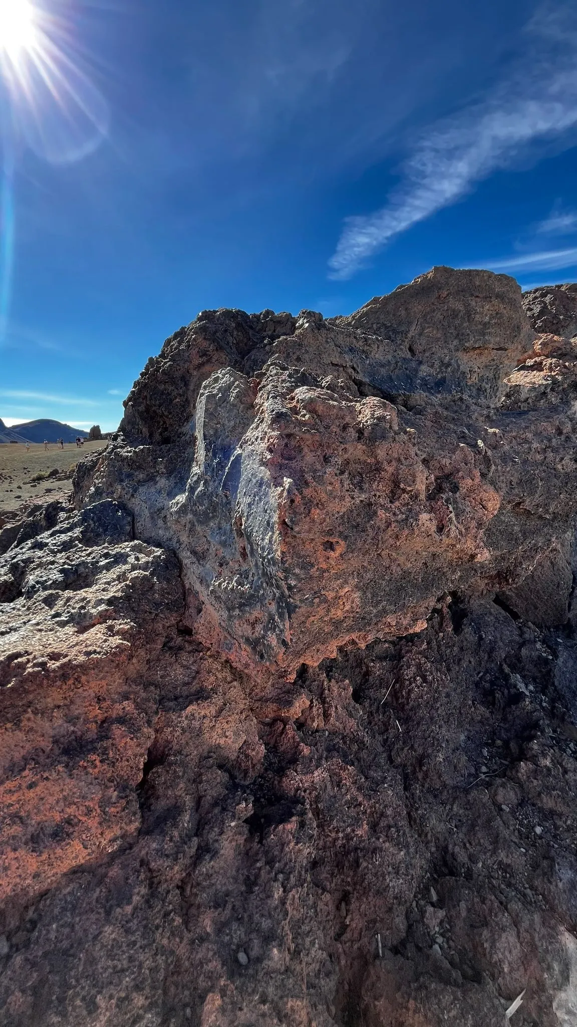 WhatsApp Image 2026-02-01 at 21.51.43 (1)