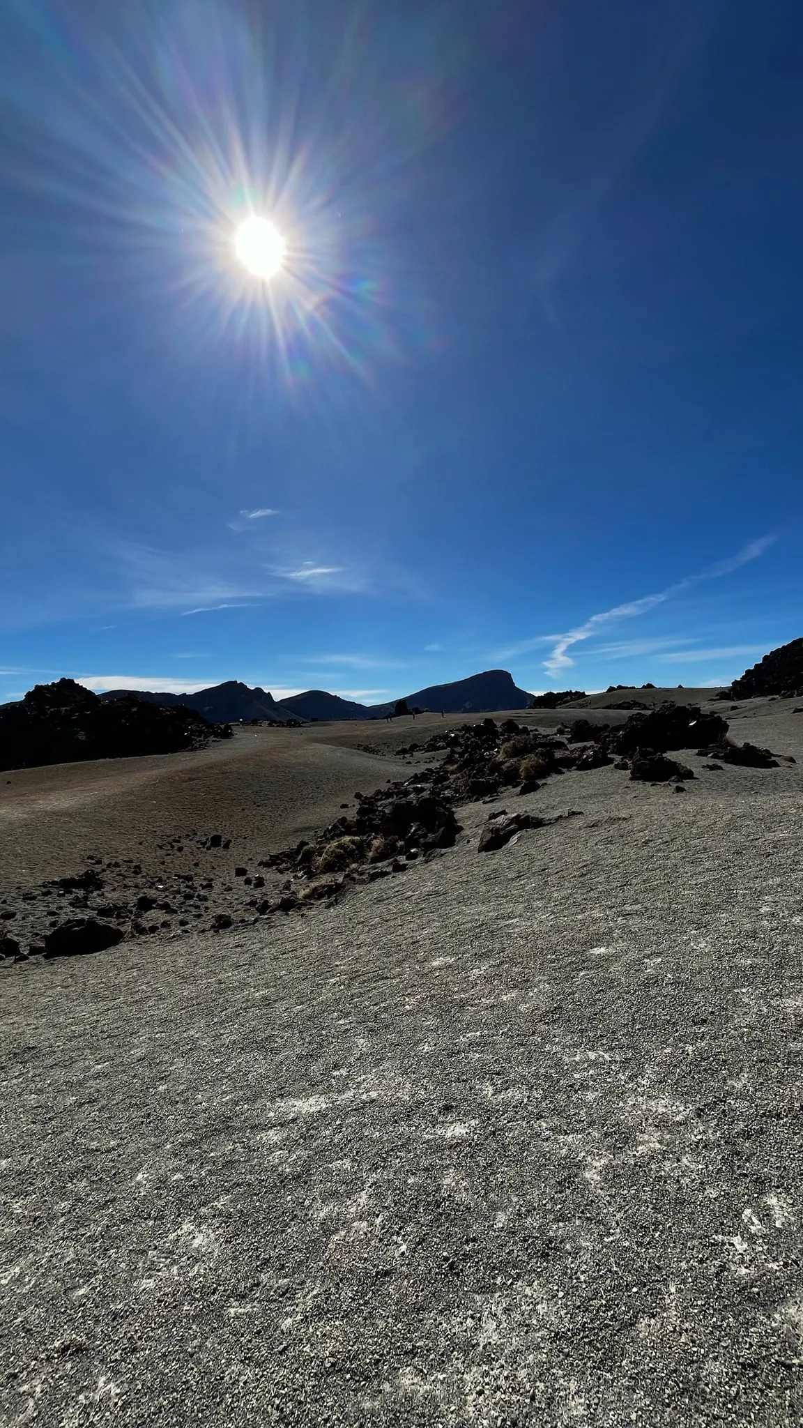 WhatsApp Image 2026-02-01 at 21.51.43 (2)