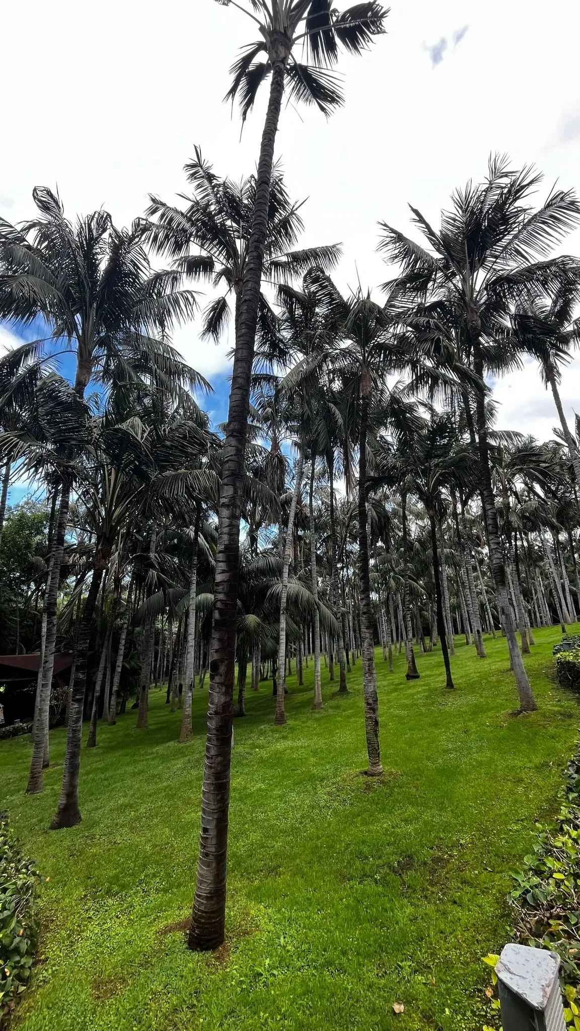 WhatsApp Image 2026-02-01 at 21.51.43 (3)