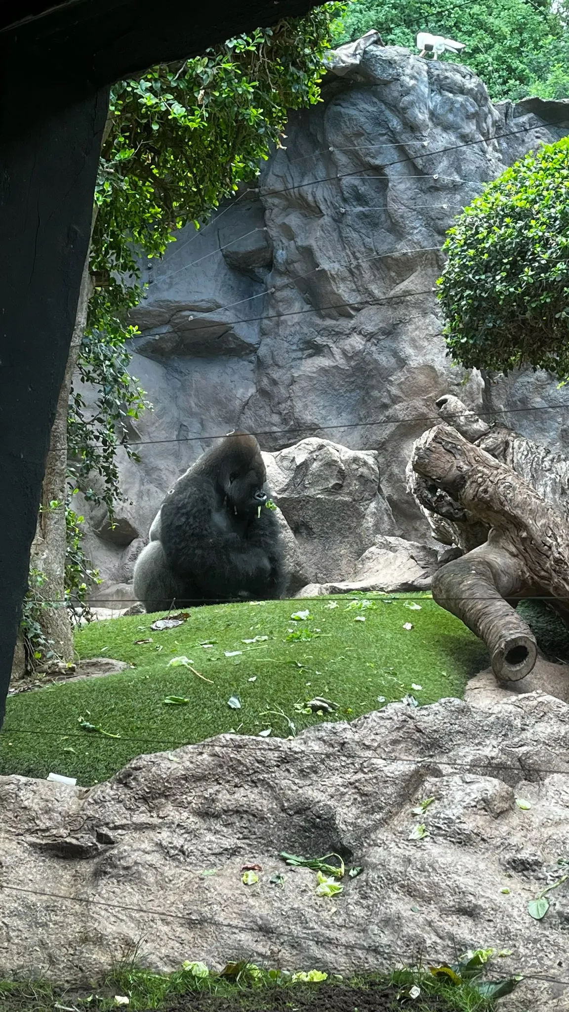 WhatsApp Image 2026-02-01 at 21.51.43 (4)