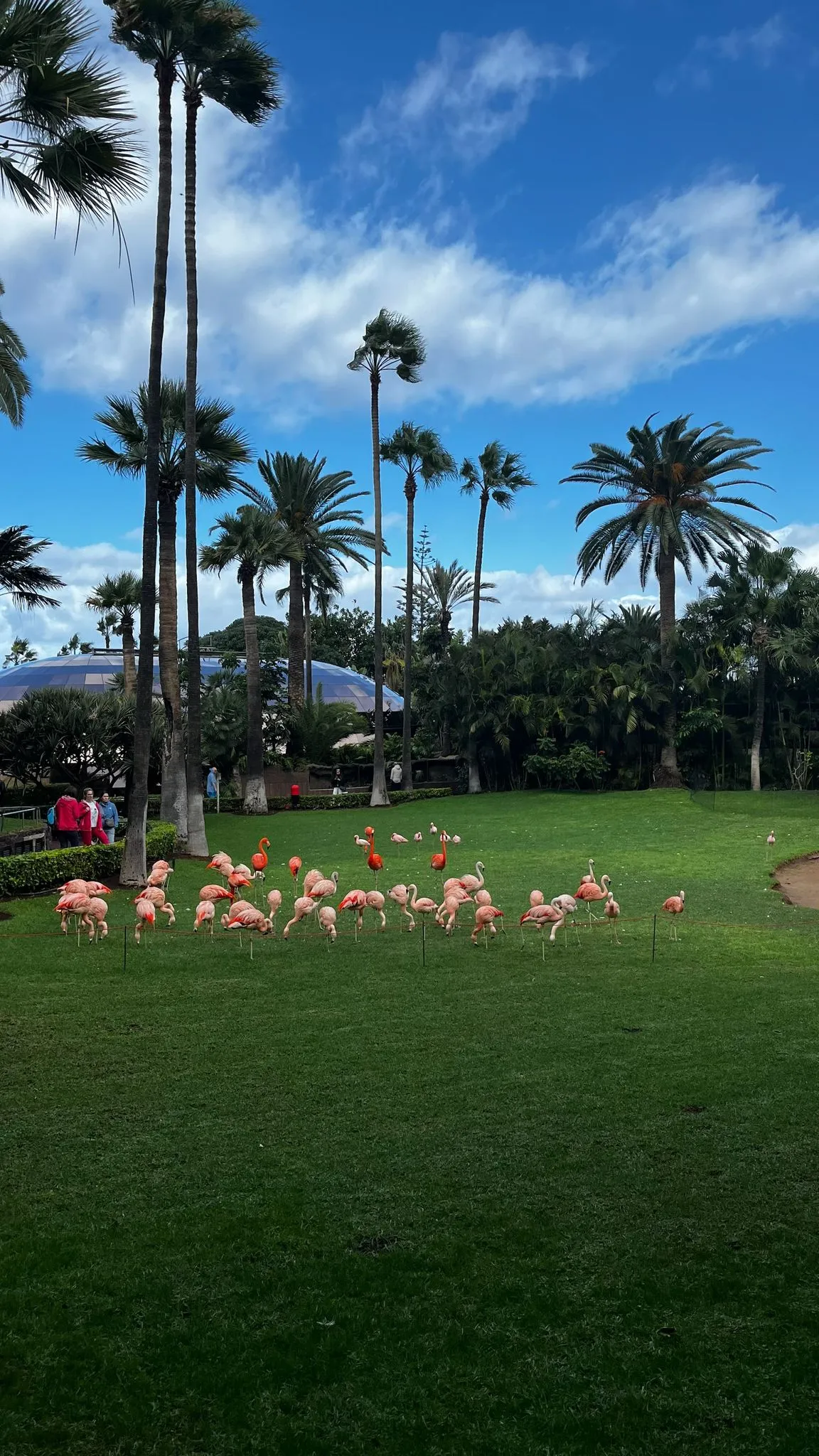 WhatsApp Image 2026-02-01 at 21.51.43