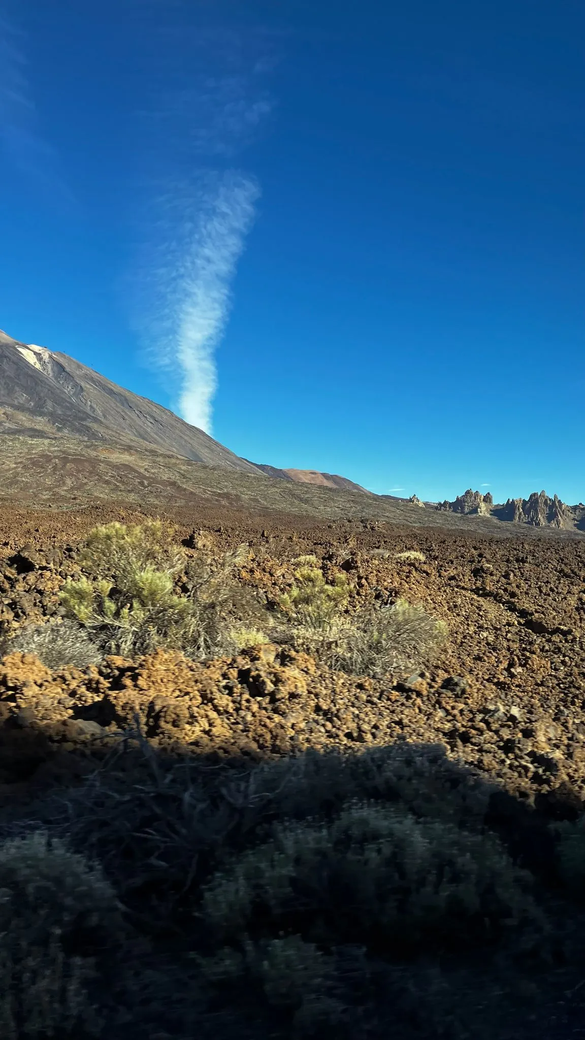 WhatsApp Image 2026-02-01 at 21.51.44 (2)