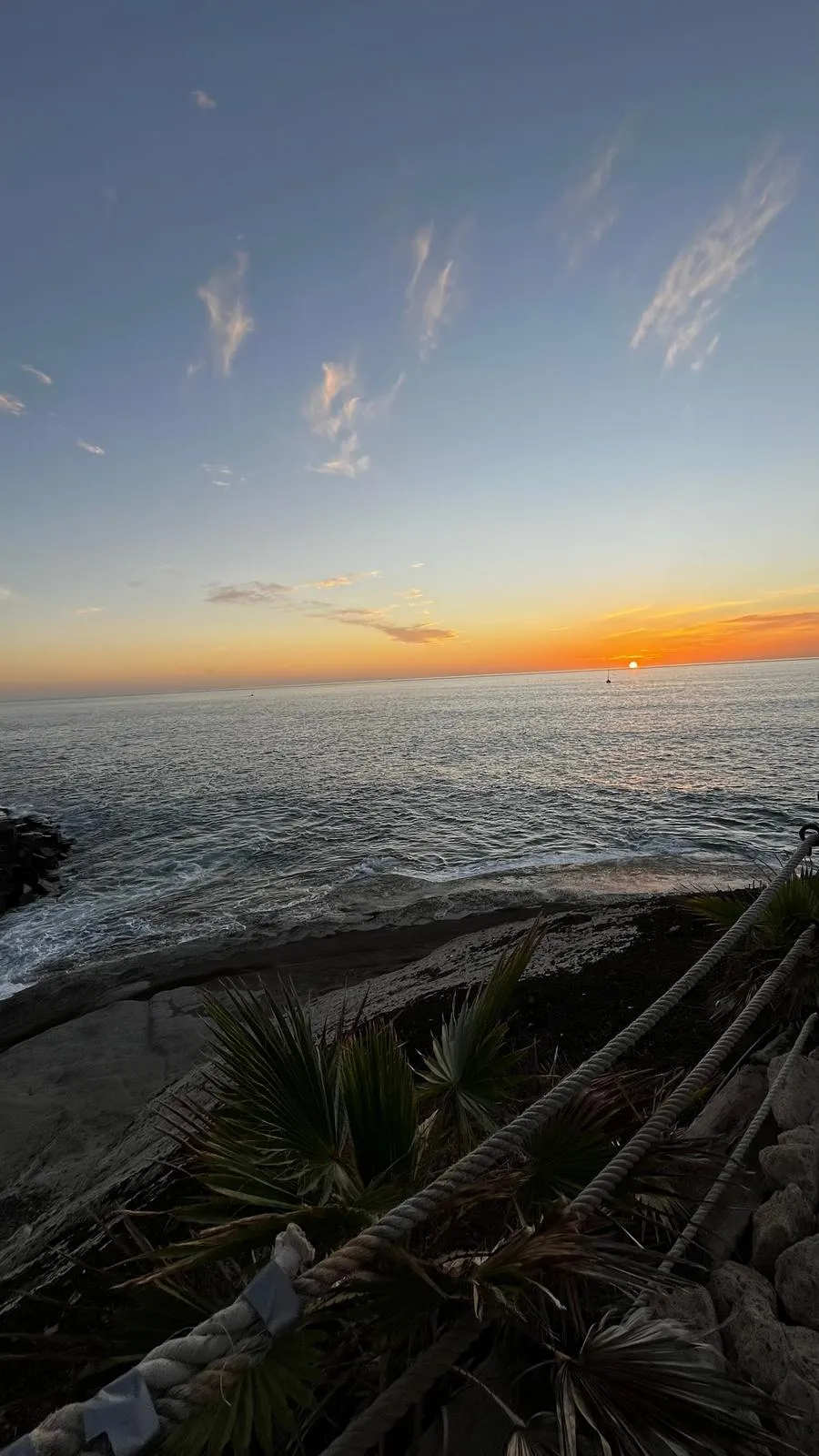 WhatsApp Image 2026-02-01 at 21.51.44 (4)