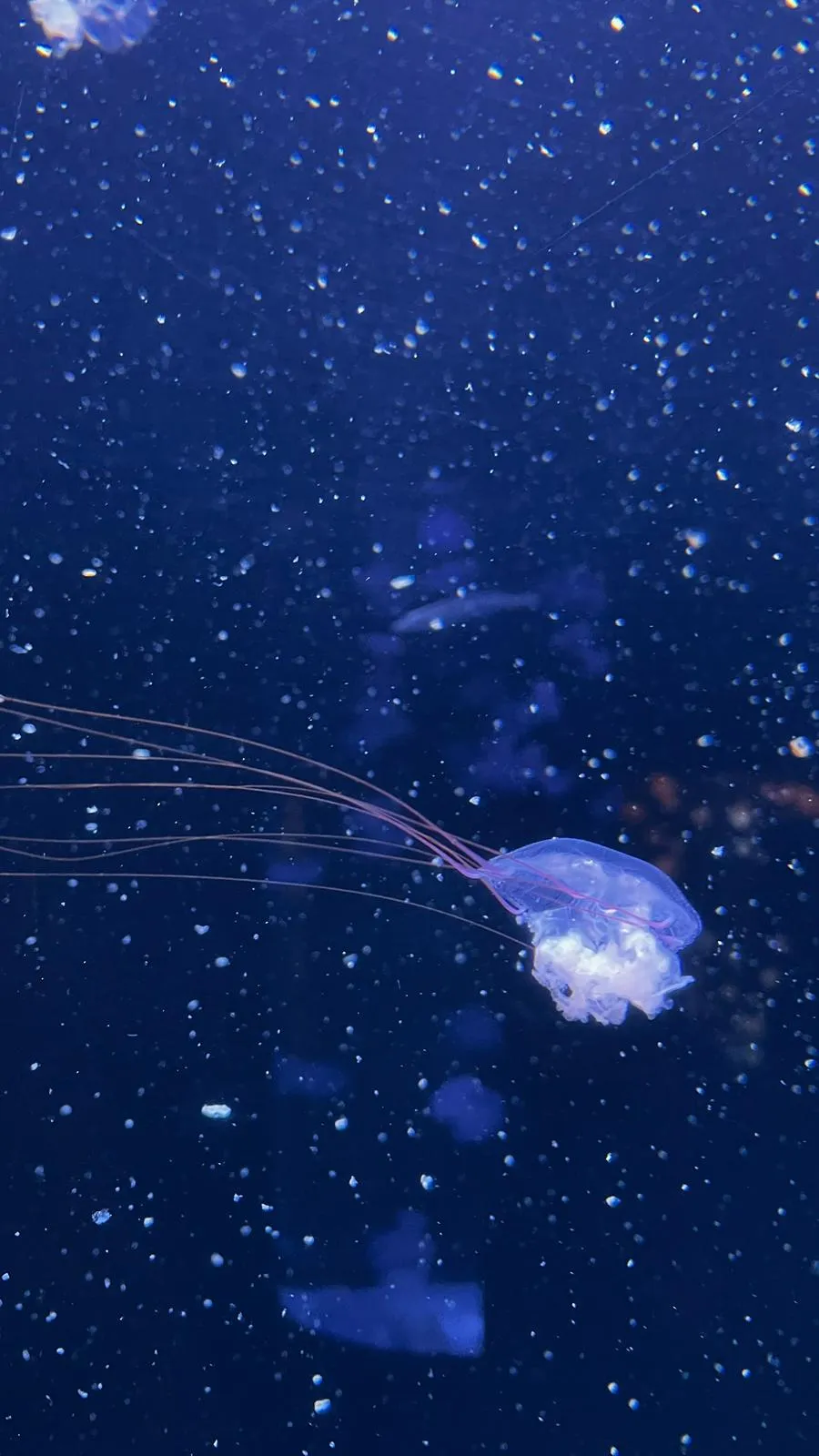 WhatsApp Image 2026-02-01 at 21.51.44 (7)