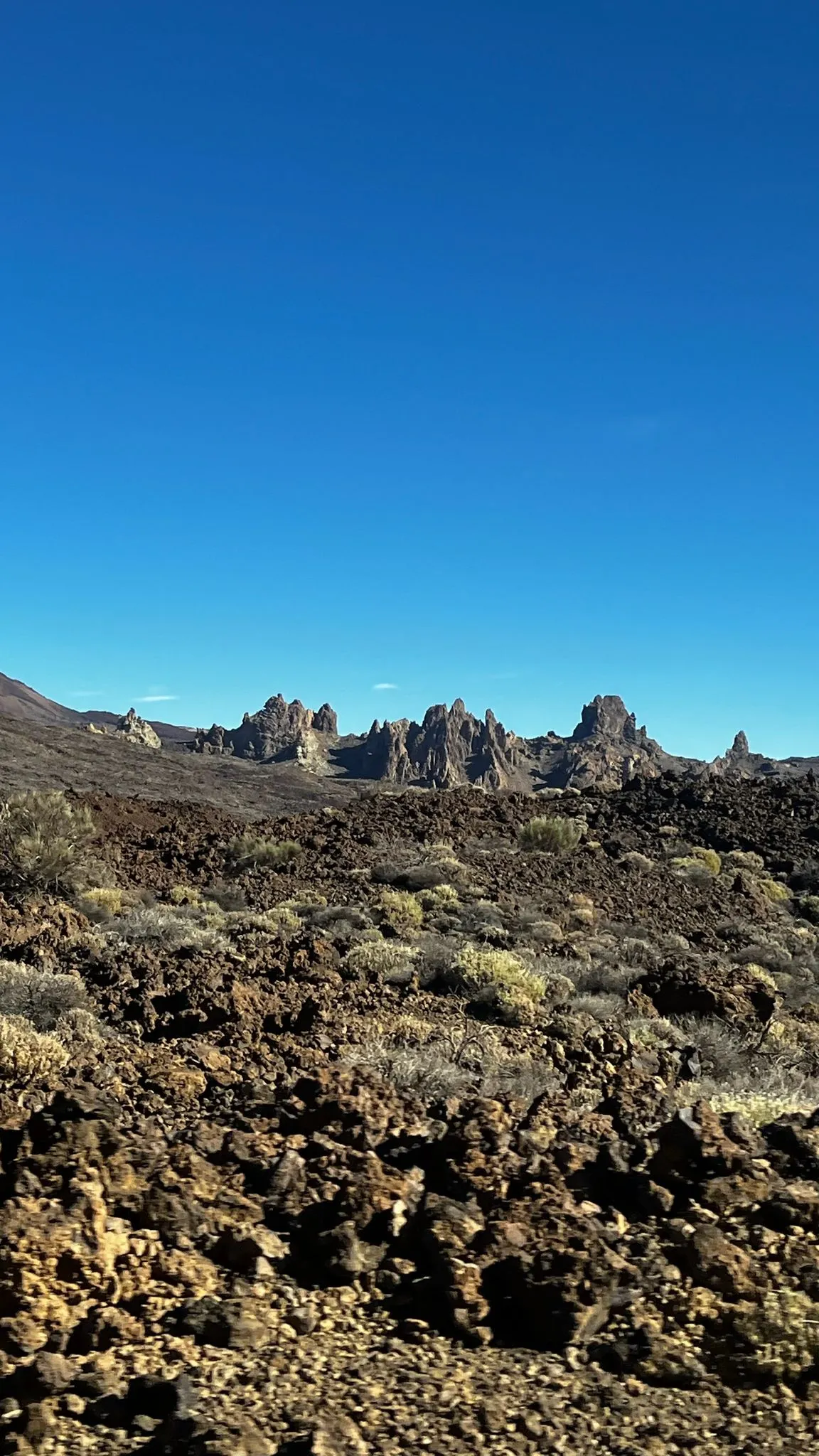 WhatsApp Image 2026-02-01 at 21.51.44