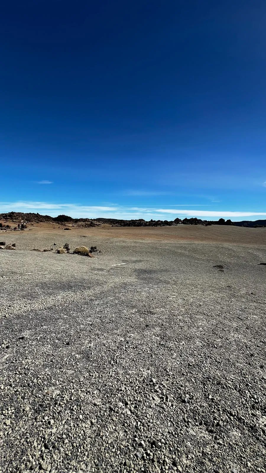 WhatsApp Image 2026-02-01 at 21.51.45 (1)