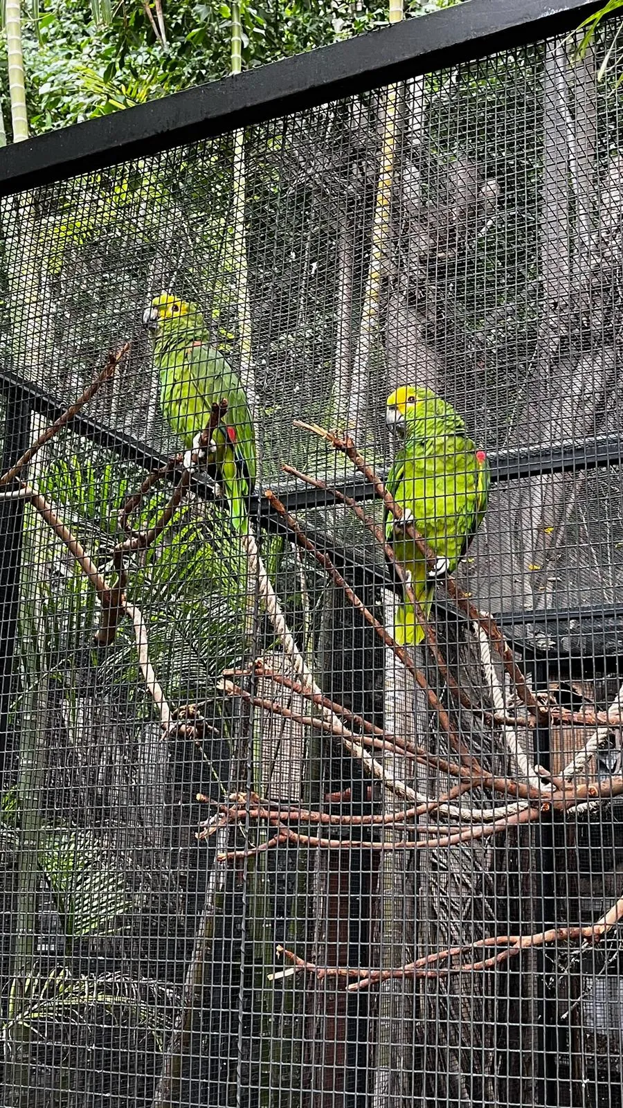 WhatsApp Image 2026-02-01 at 21.51.45